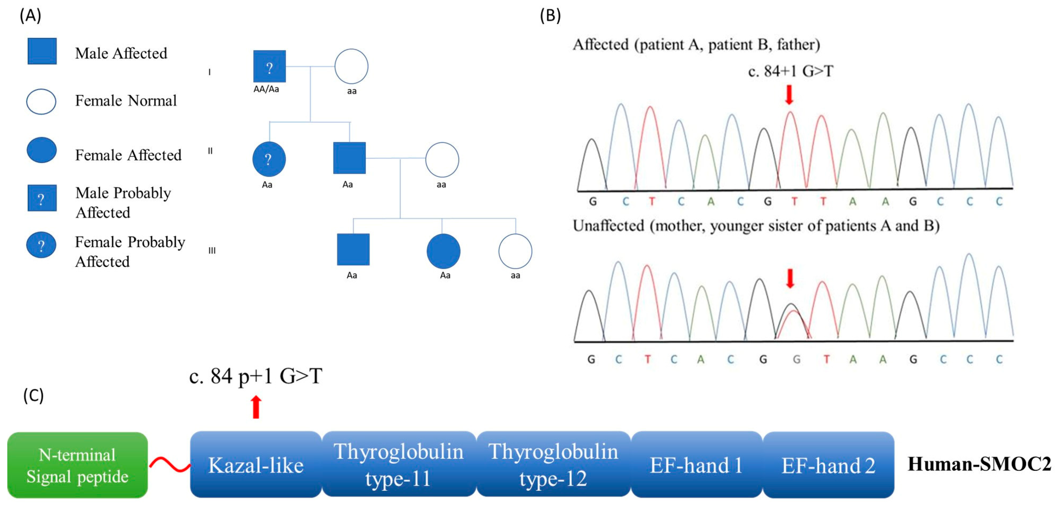 Medicina 59 01477 g001