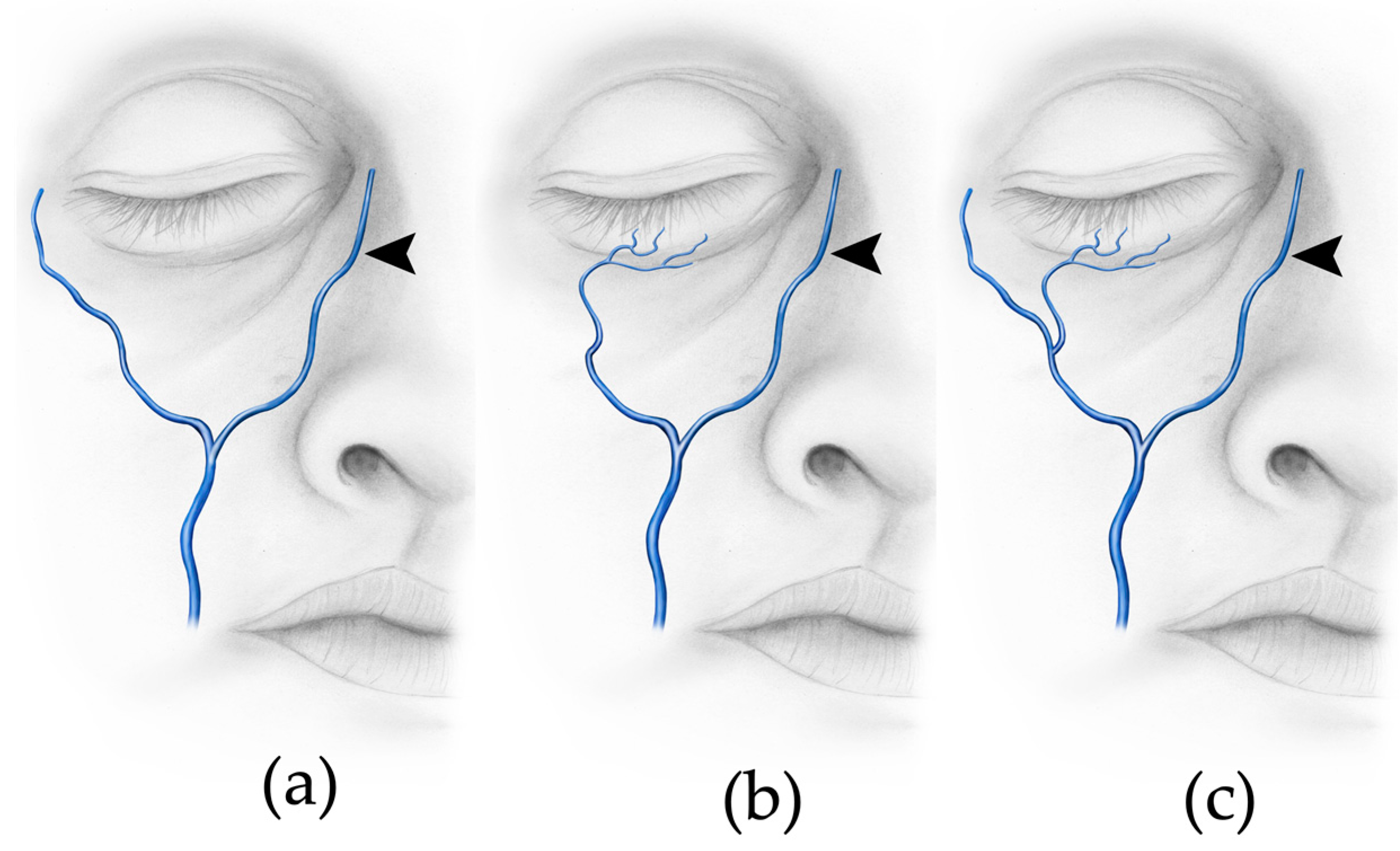Medicina 59 01479 g006