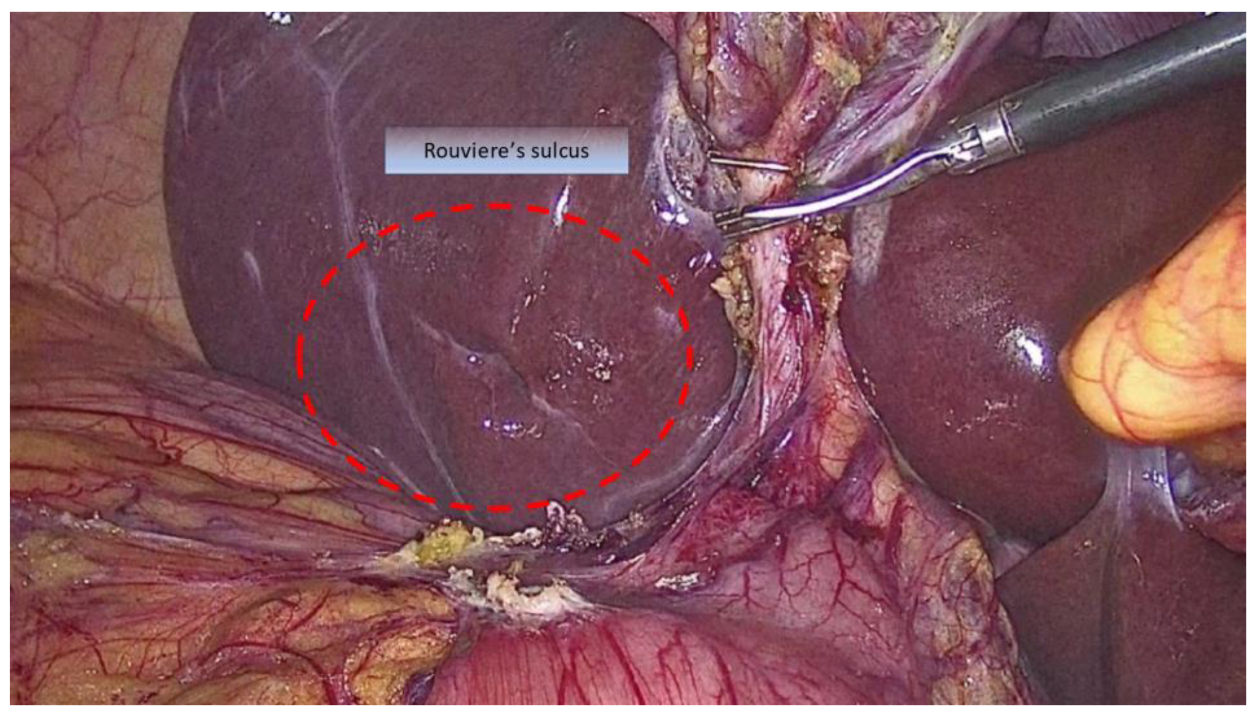 Medicina 59 01491 g001