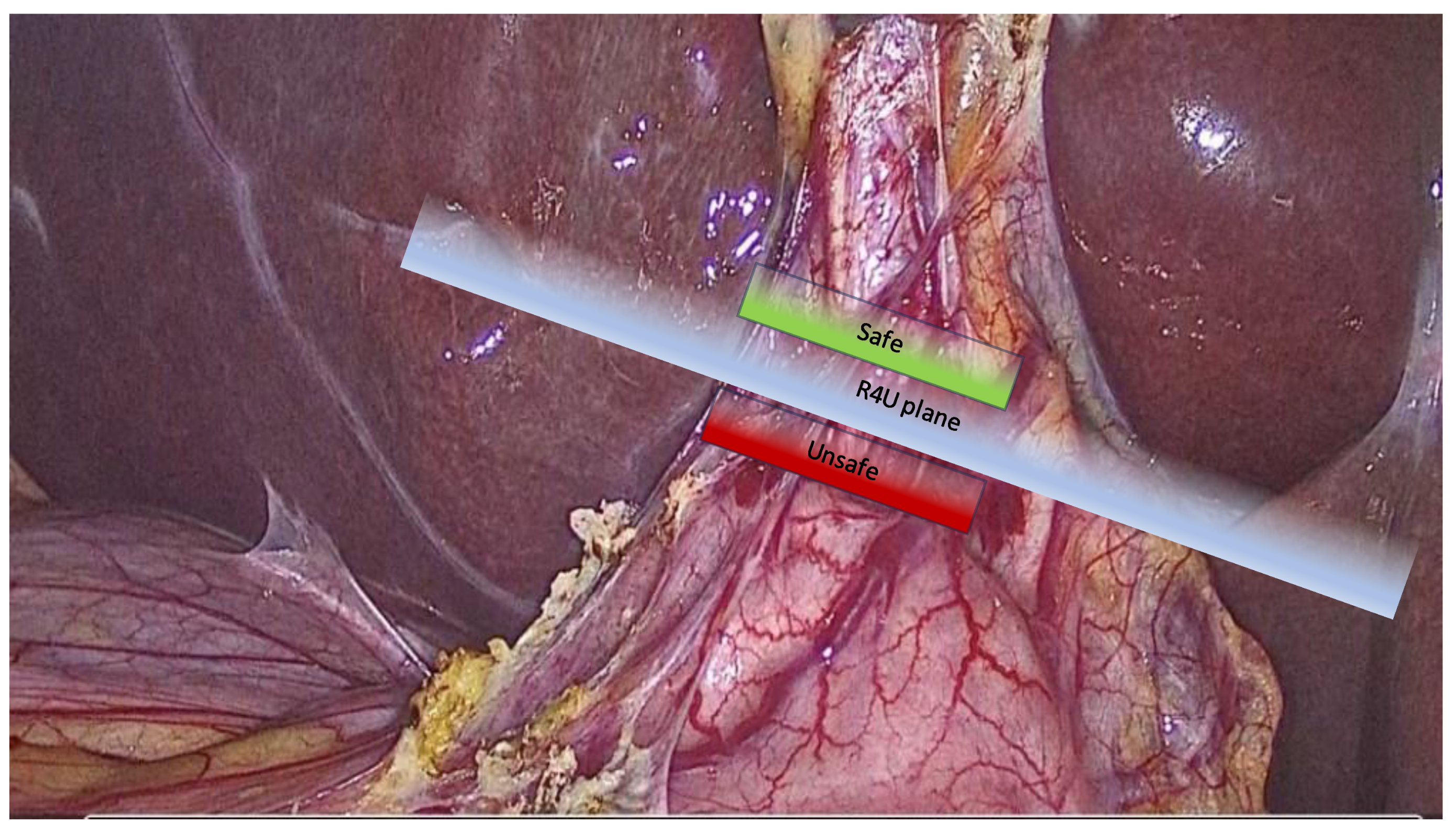 Medicina 59 01491 g002