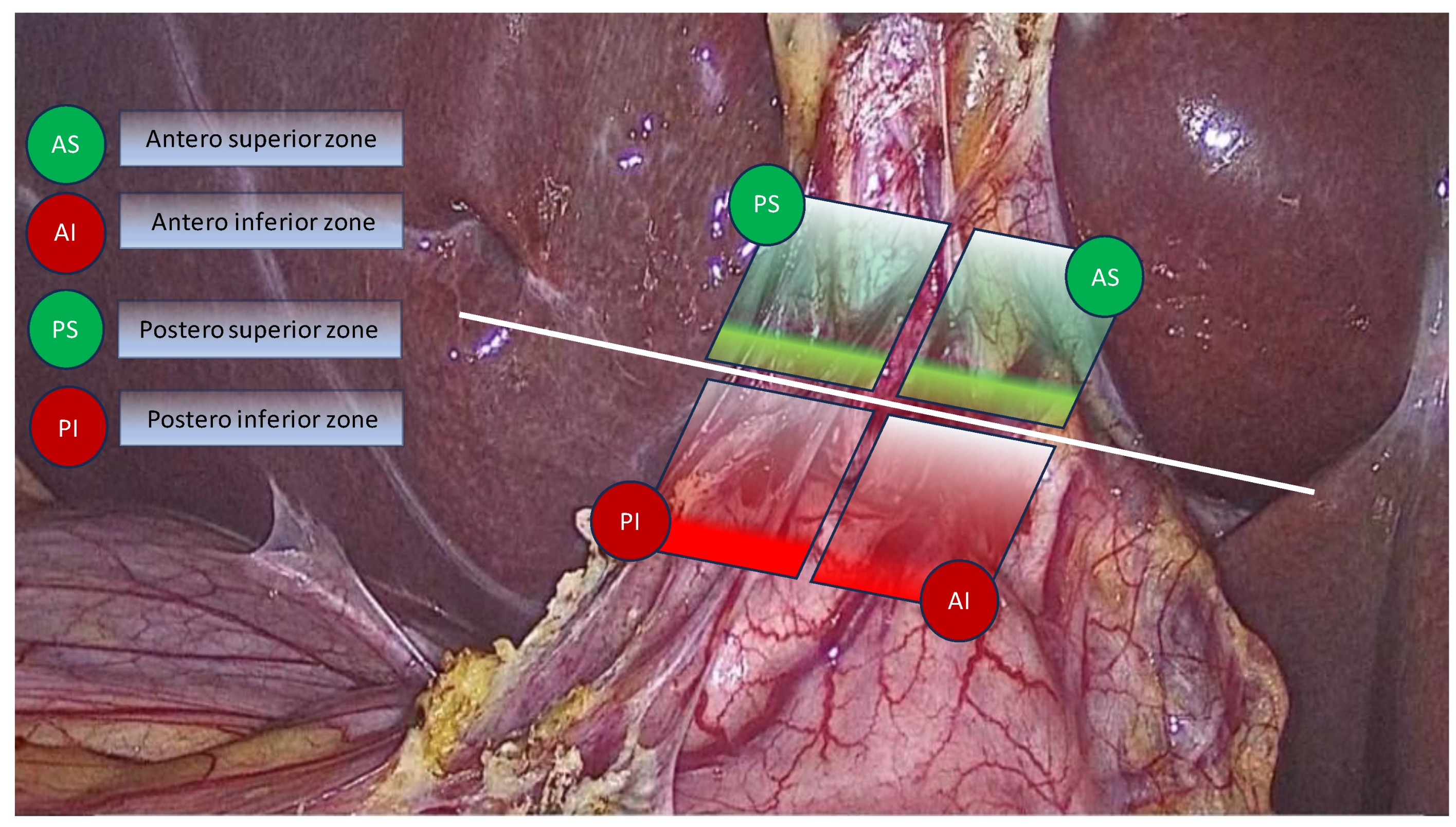 Medicina 59 01491 g003