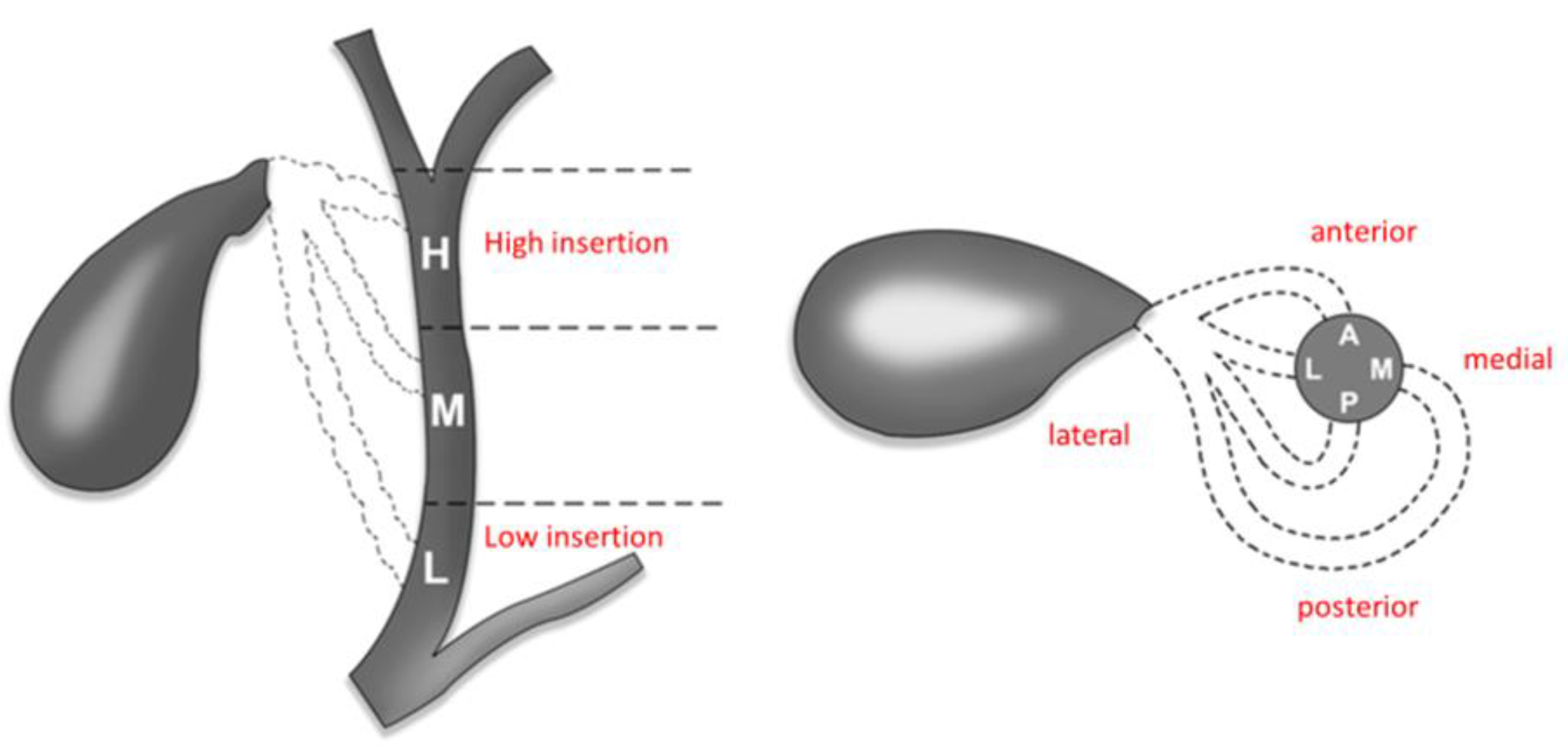 Medicina 59 01491 g008