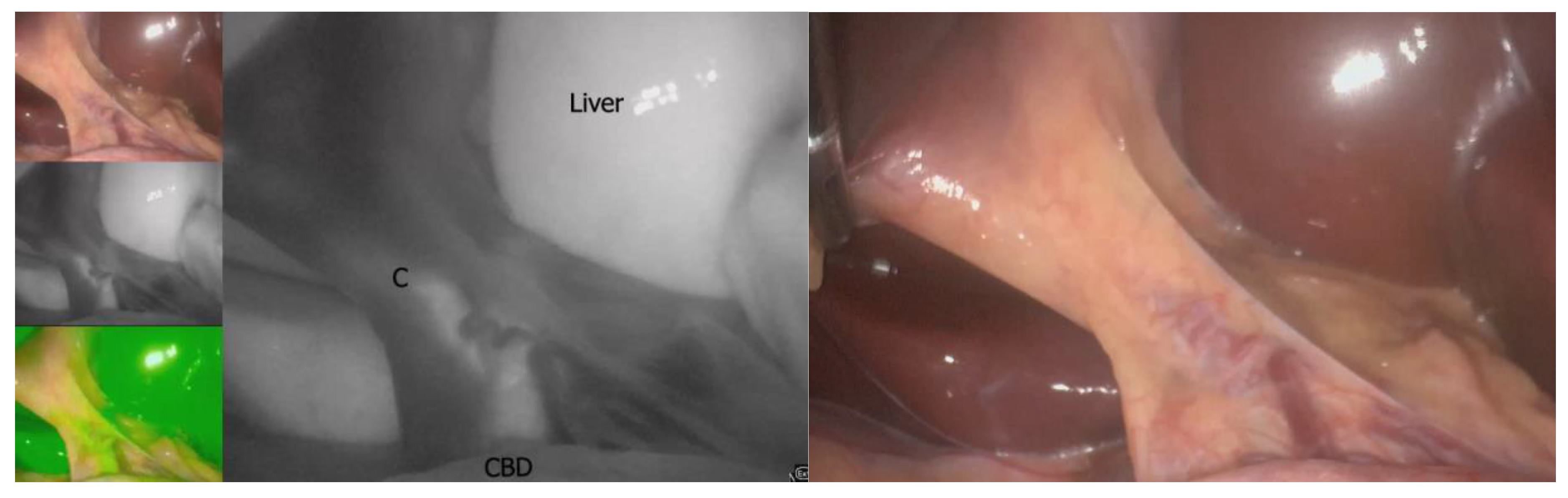 Medicina 59 01491 g009
