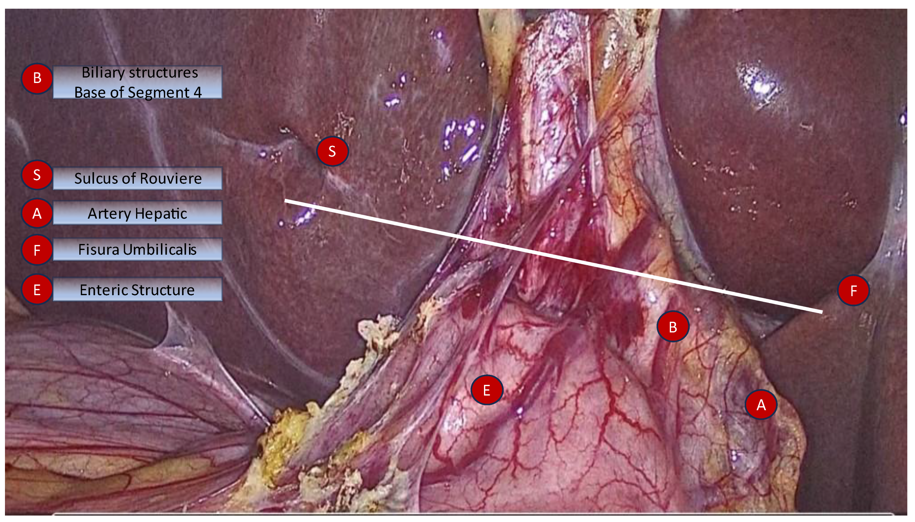 Medicina 59 01491 g010