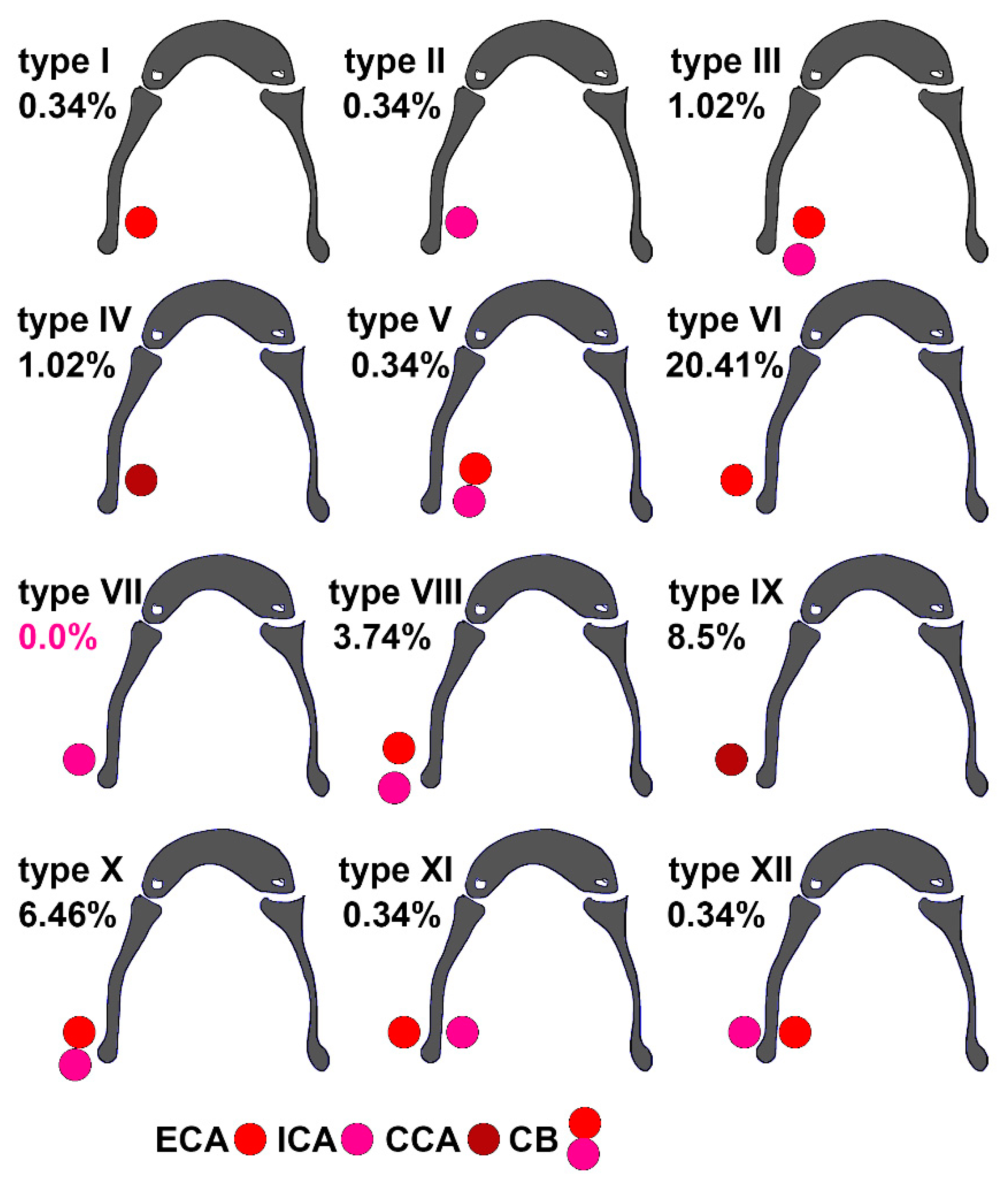 Medicina 59 01494 g001