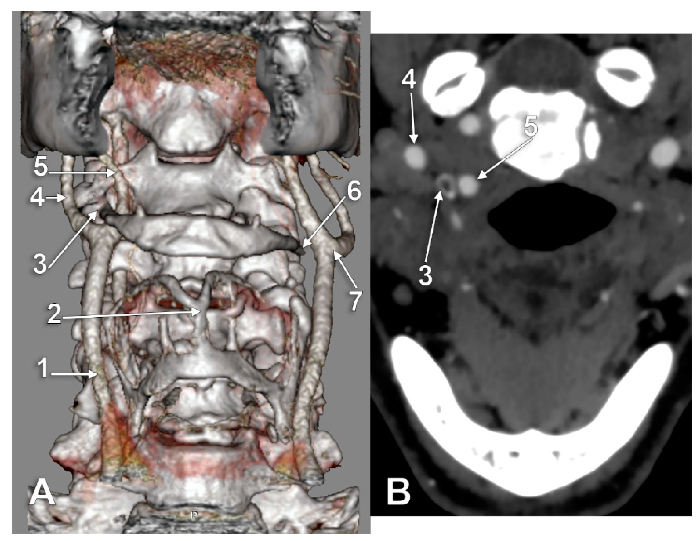 Medicina 59 01494 g002