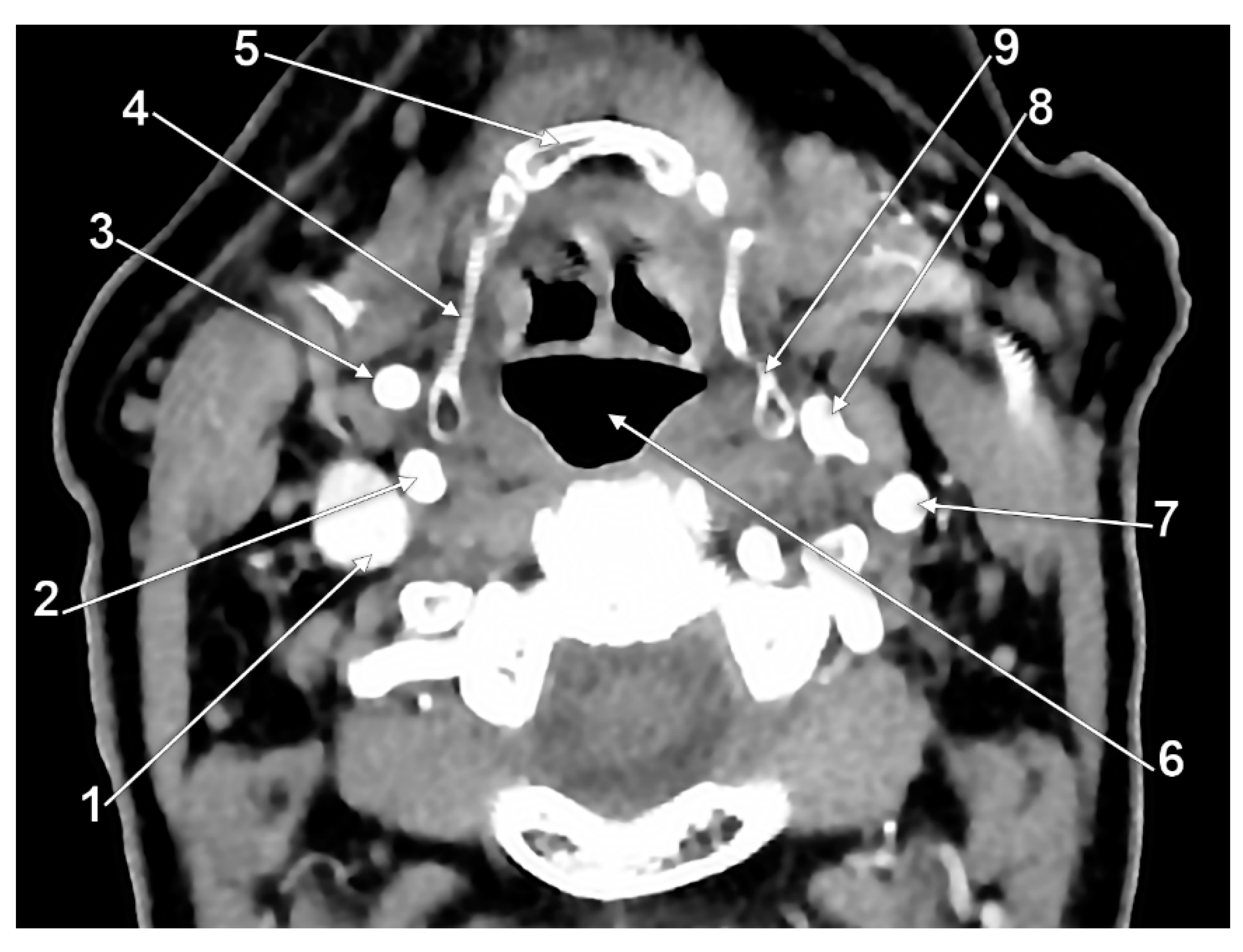 Medicina 59 01494 g007