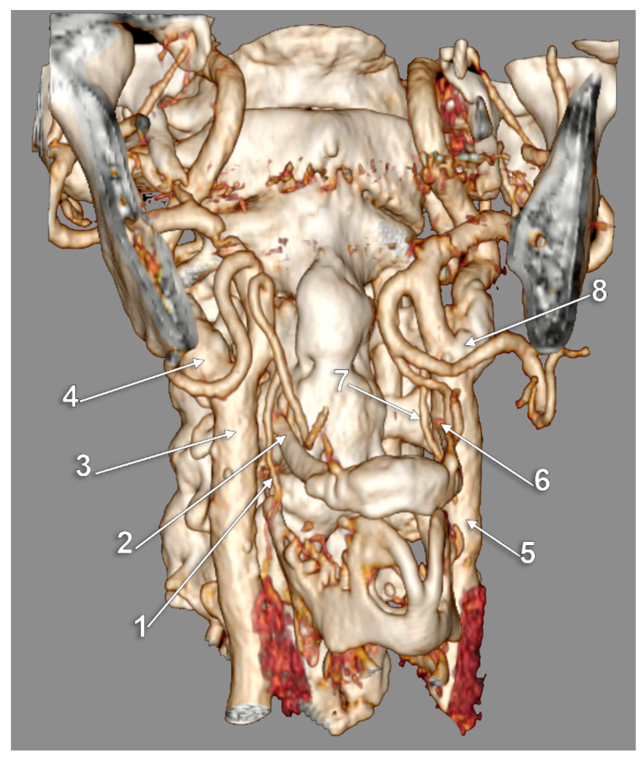 Medicina 59 01494 g009