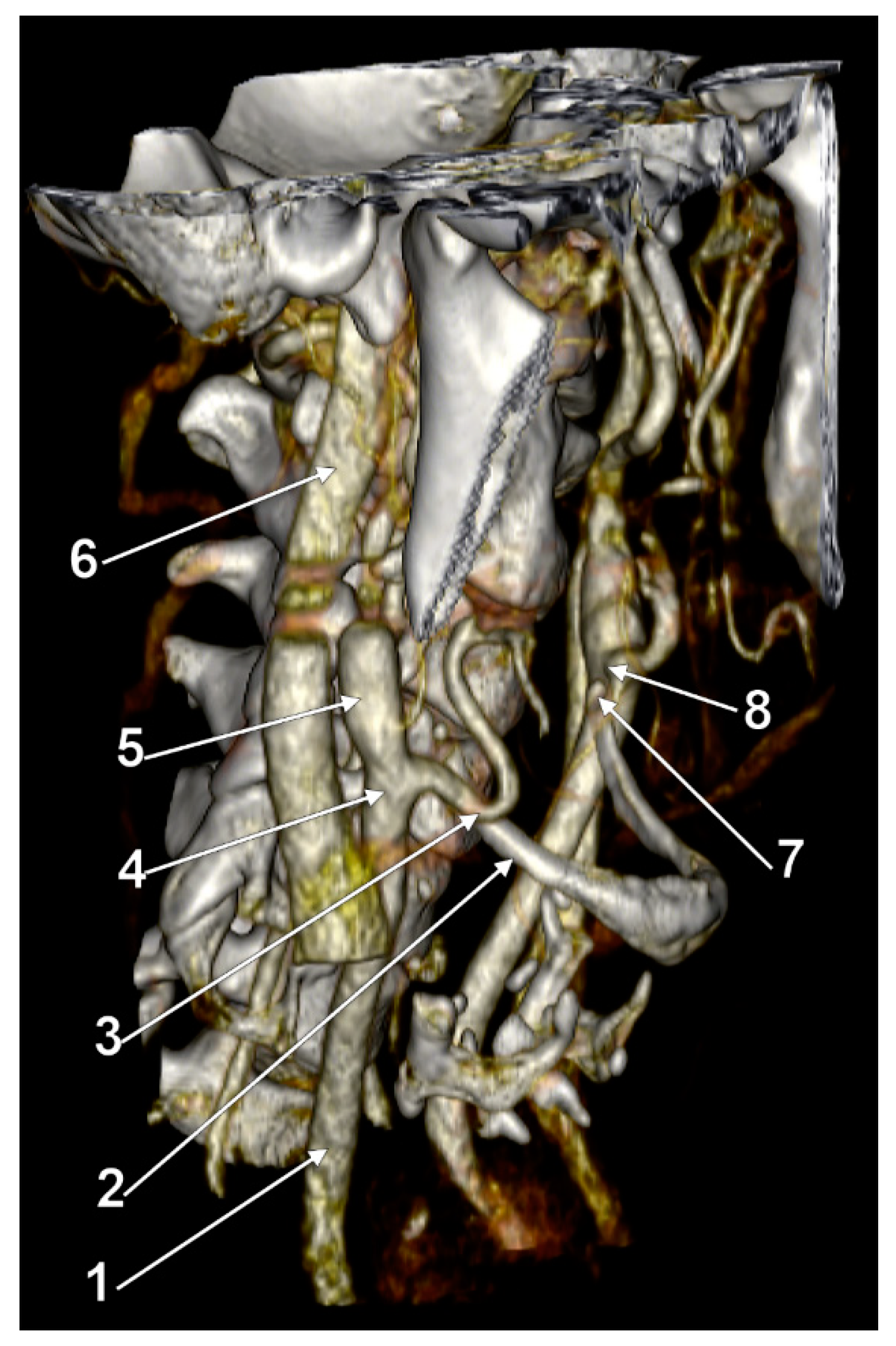 Medicina 59 01494 g010