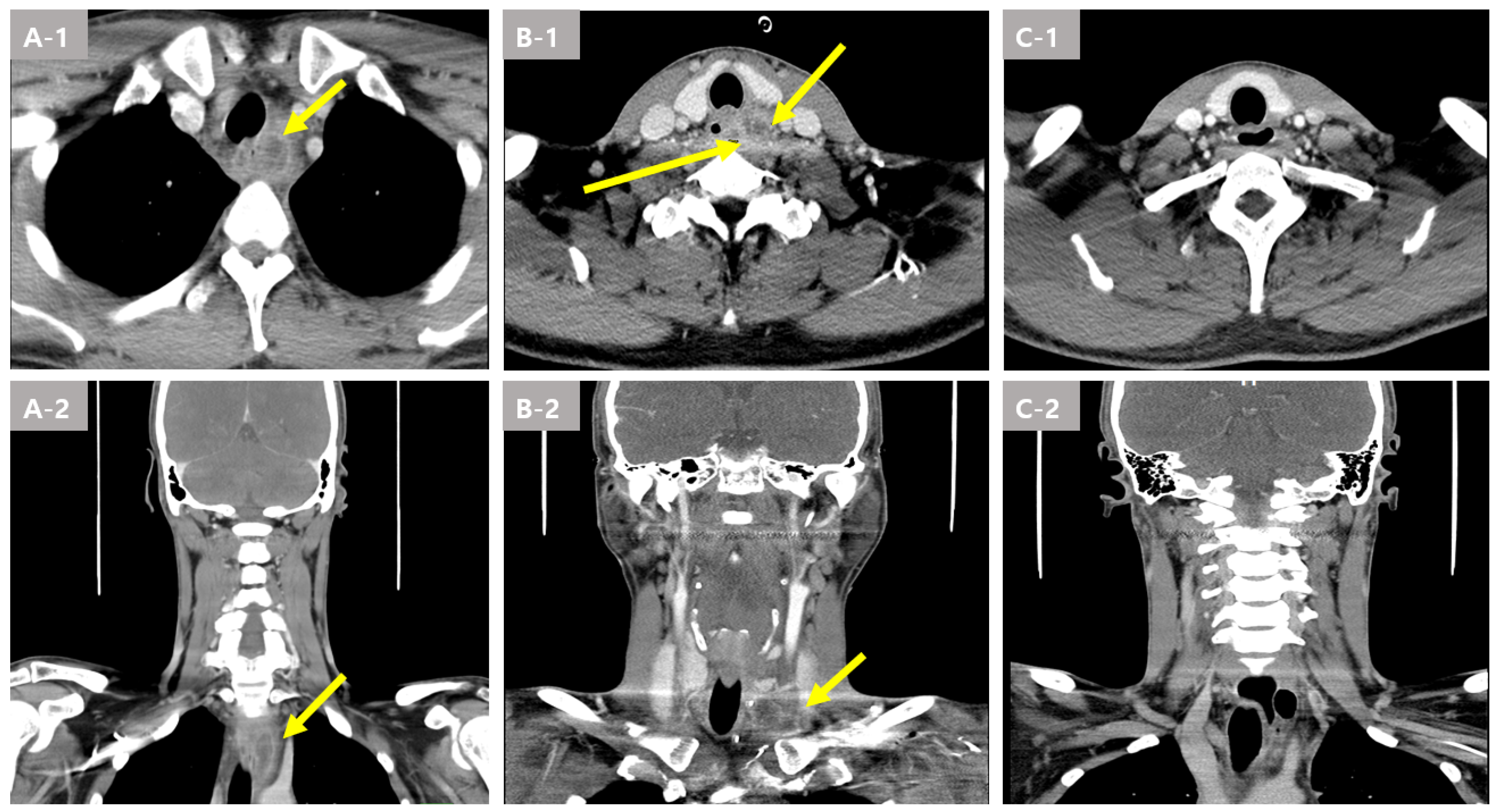 Medicina 59 01504 g001