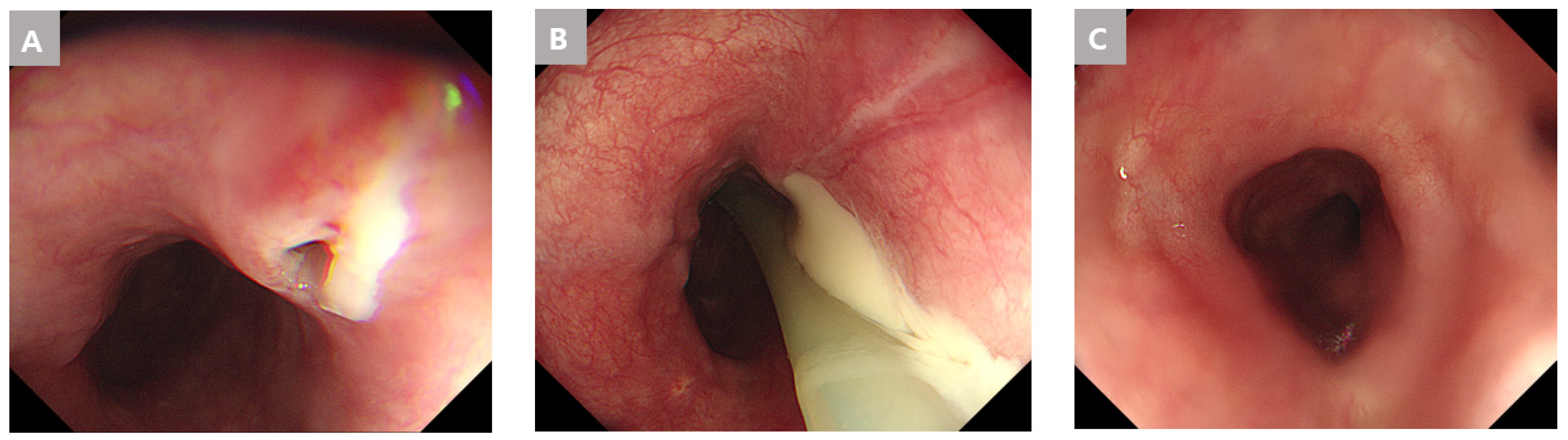 Medicina 59 01504 g004