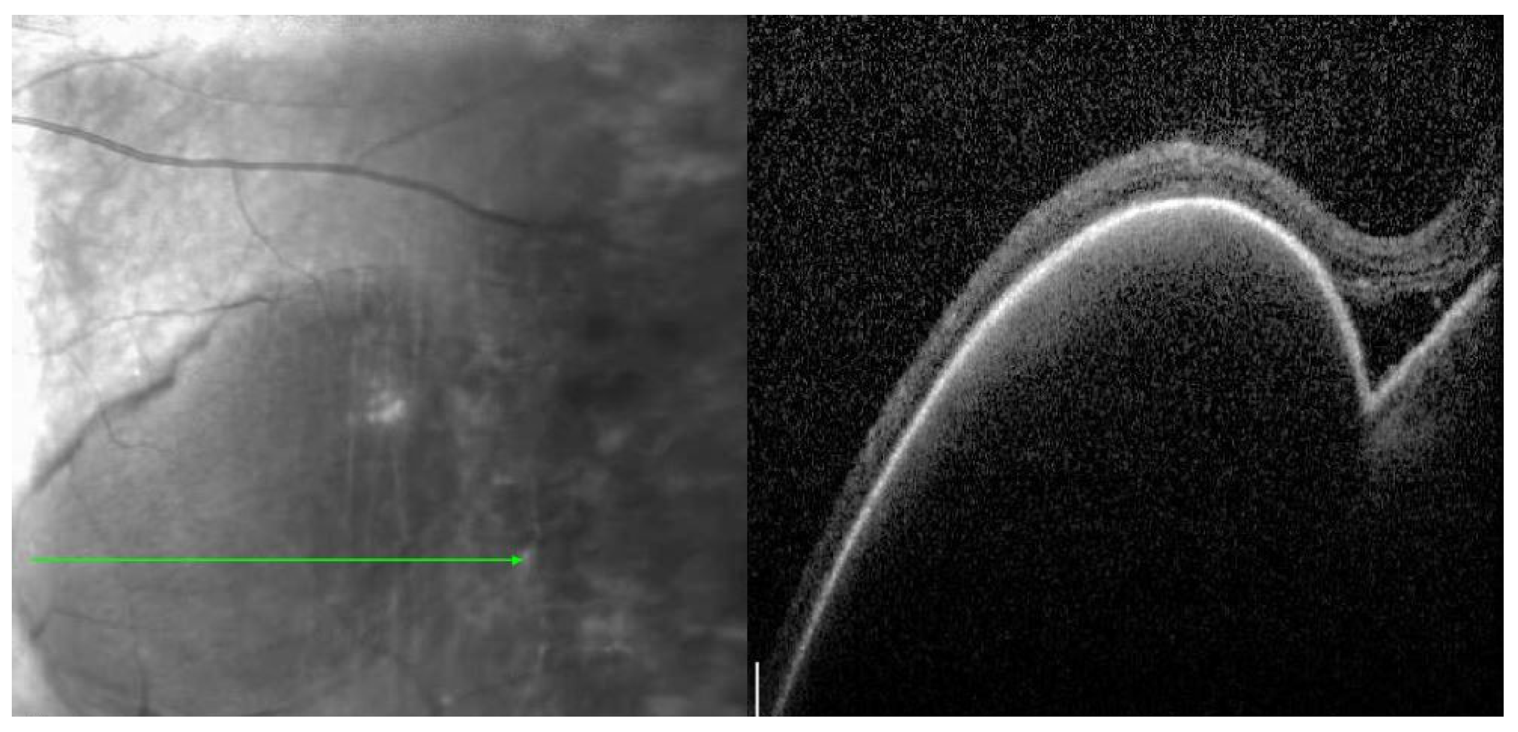 Medicina 59 01507 g001