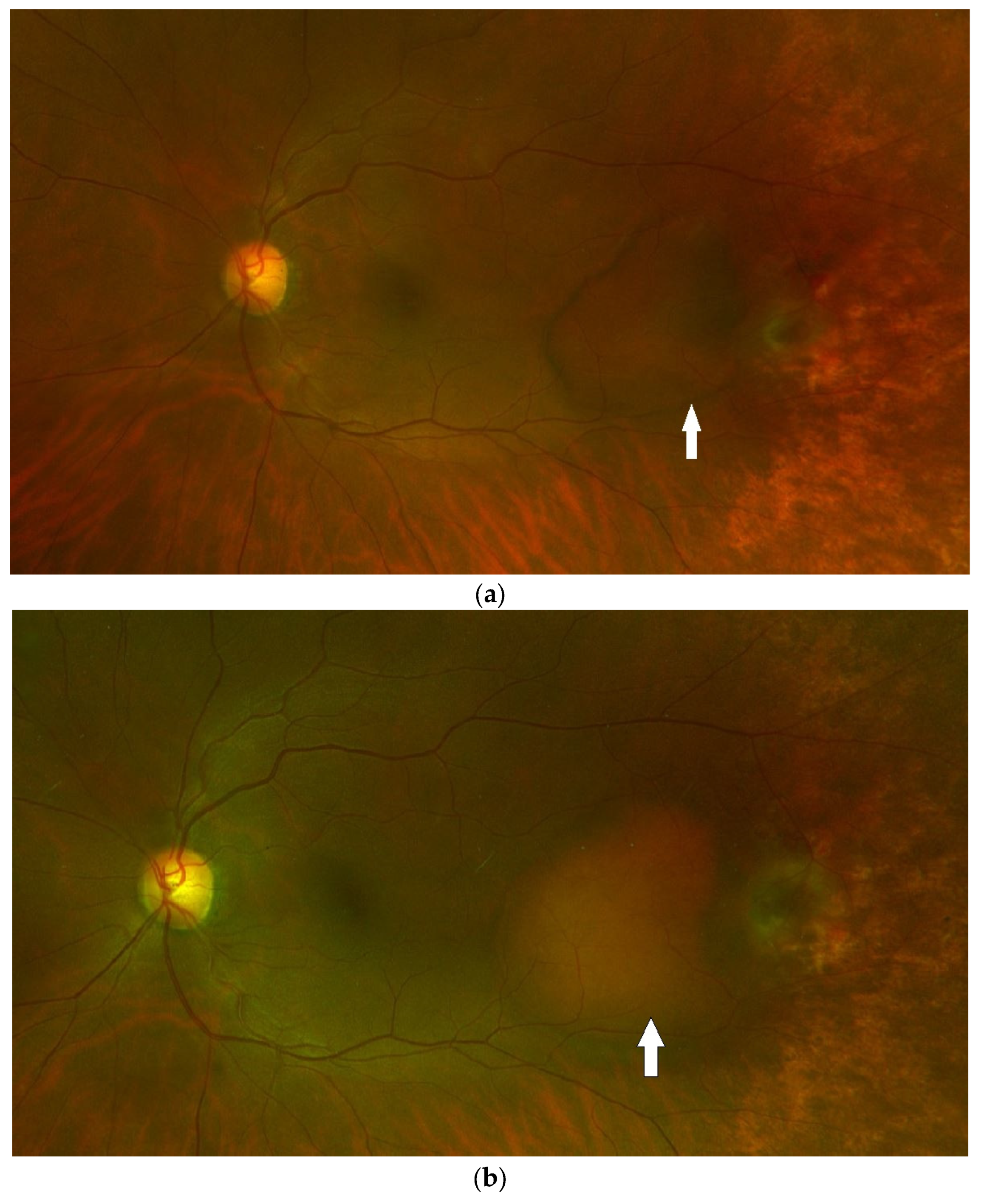 Medicina 59 01507 g002