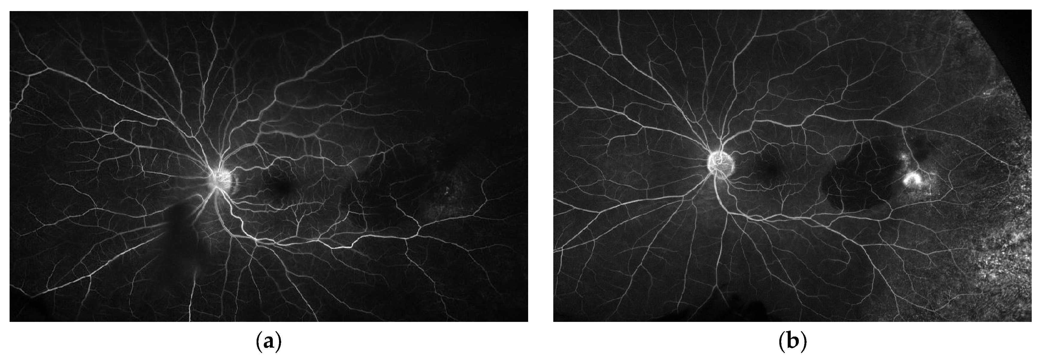 Medicina 59 01507 g003