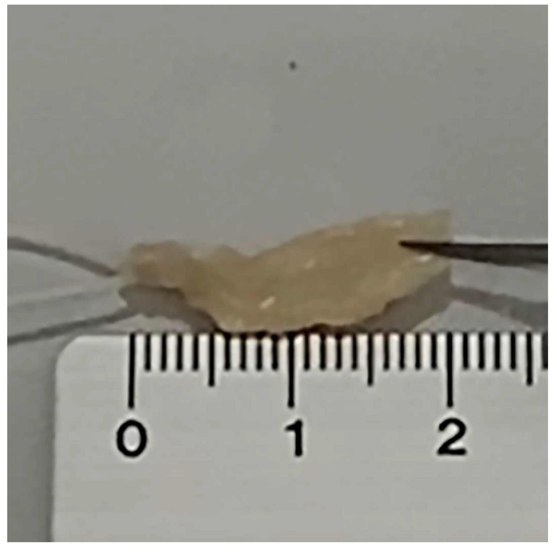 Medicina 59 01510 g001 Medicina 59 01510 g001