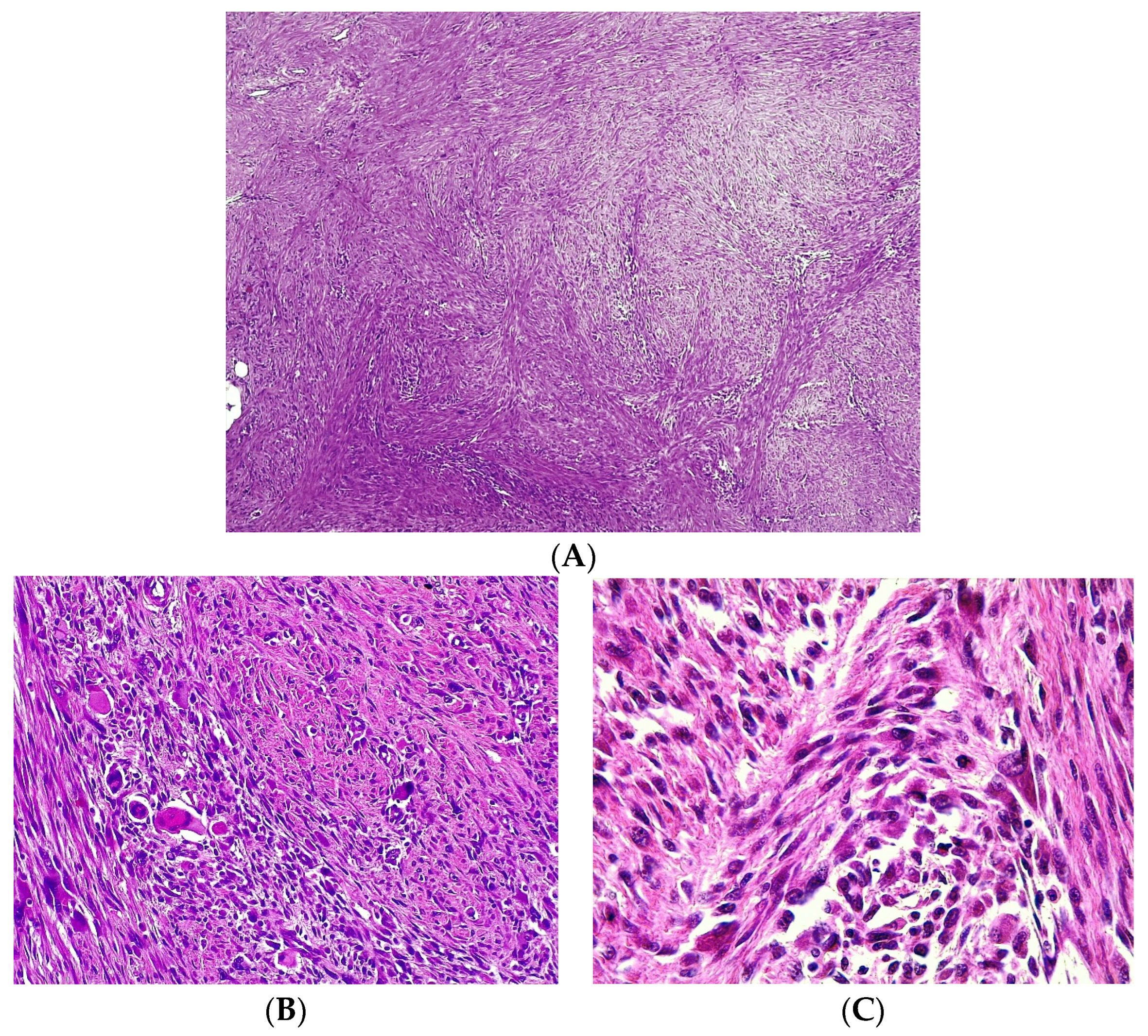 Medicina 59 01515 g003 Medicina 59 01515 g003