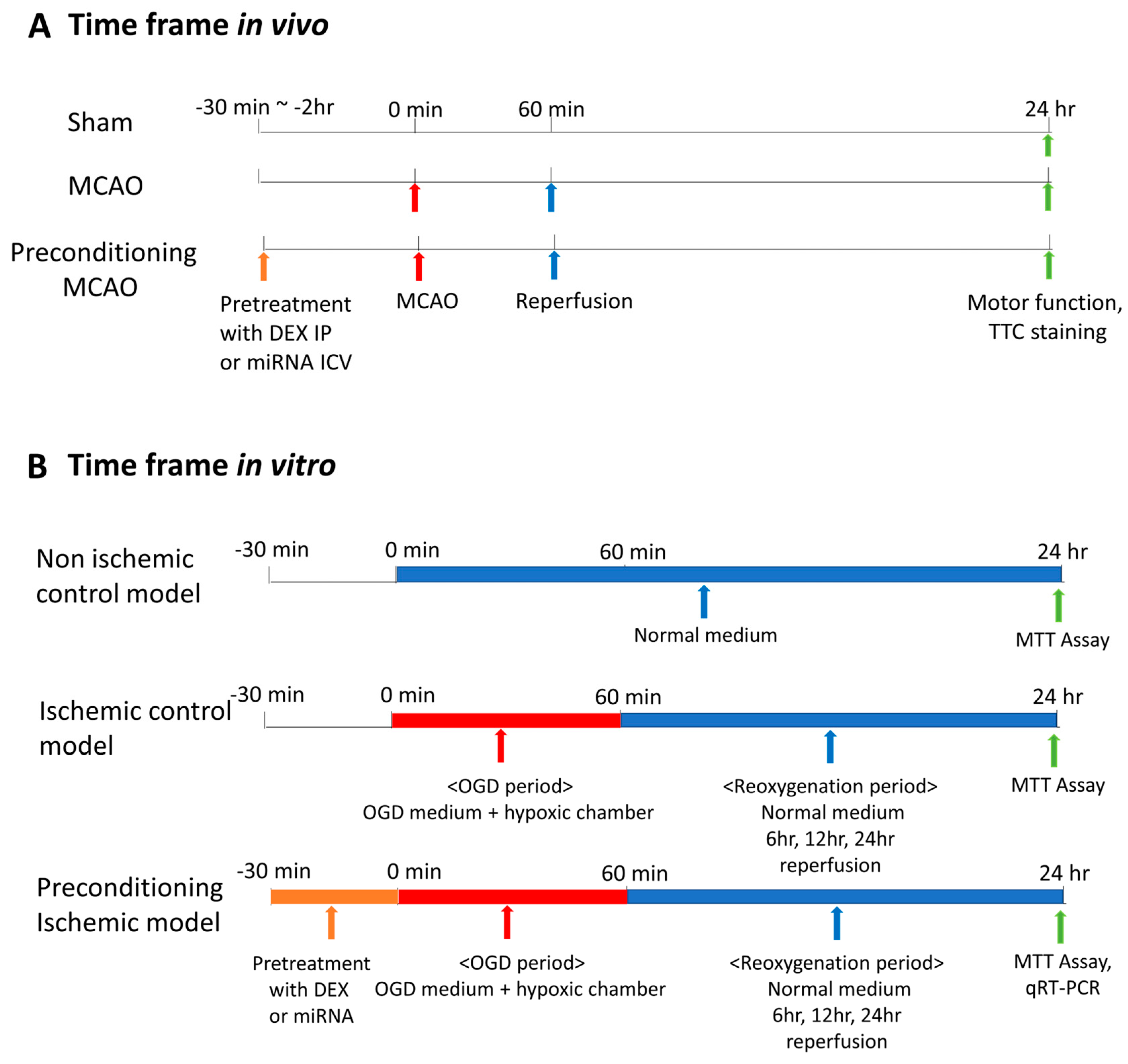 Medicina 59 01518 g001