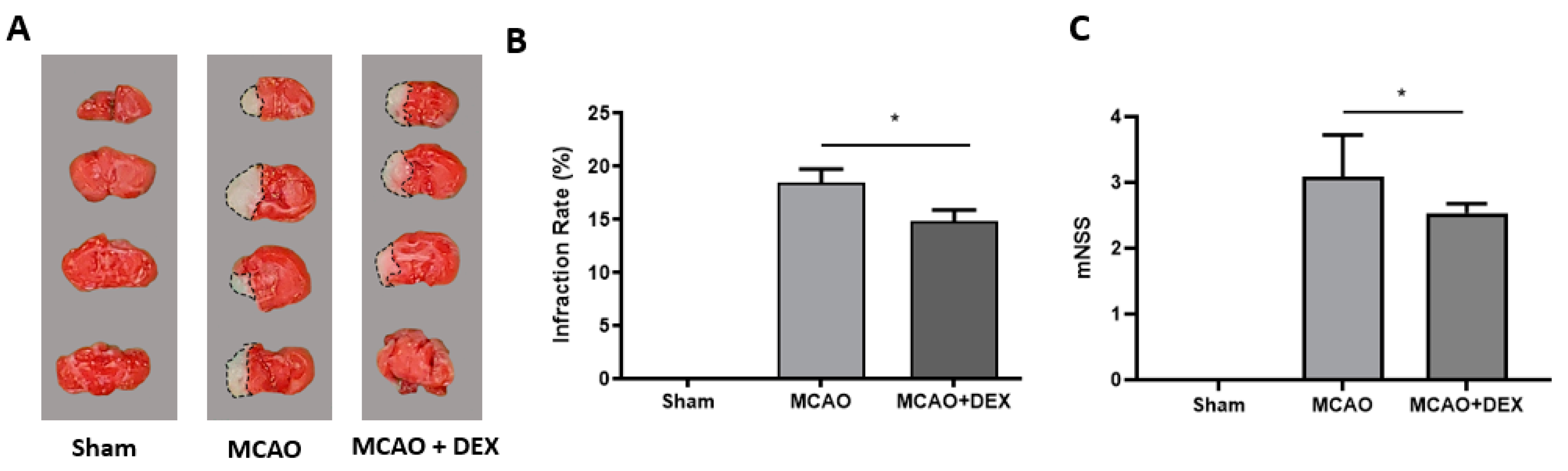 Medicina 59 01518 g002