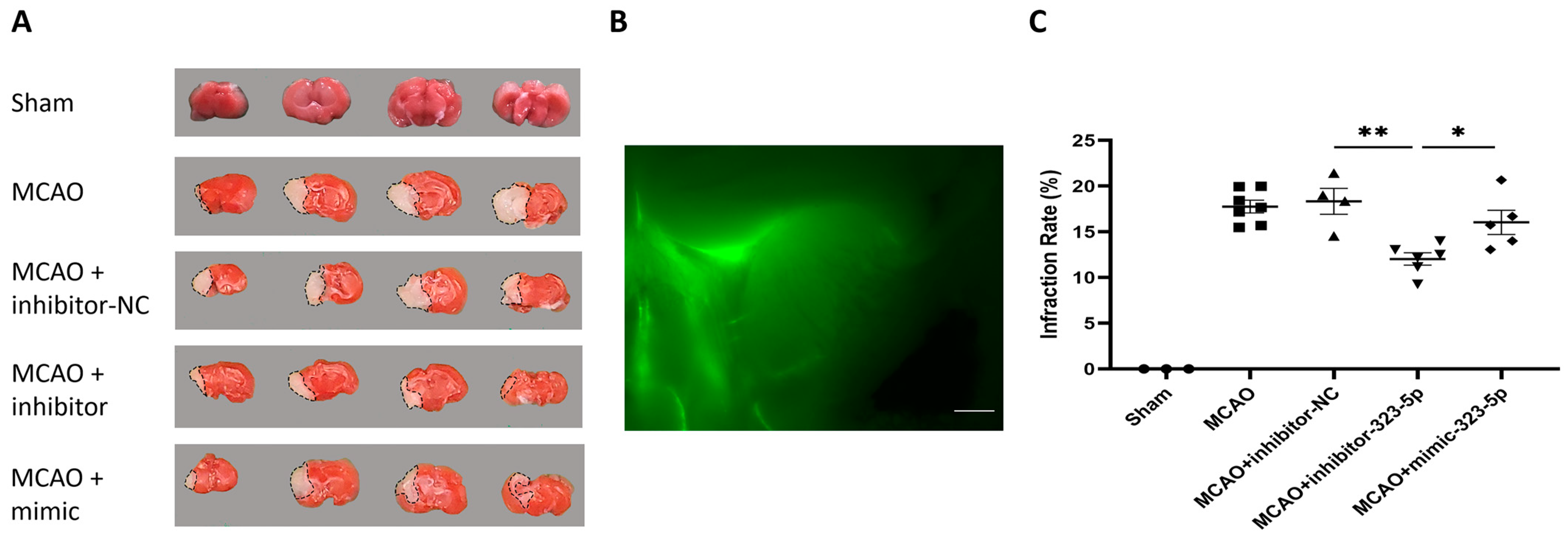 Medicina 59 01518 g007