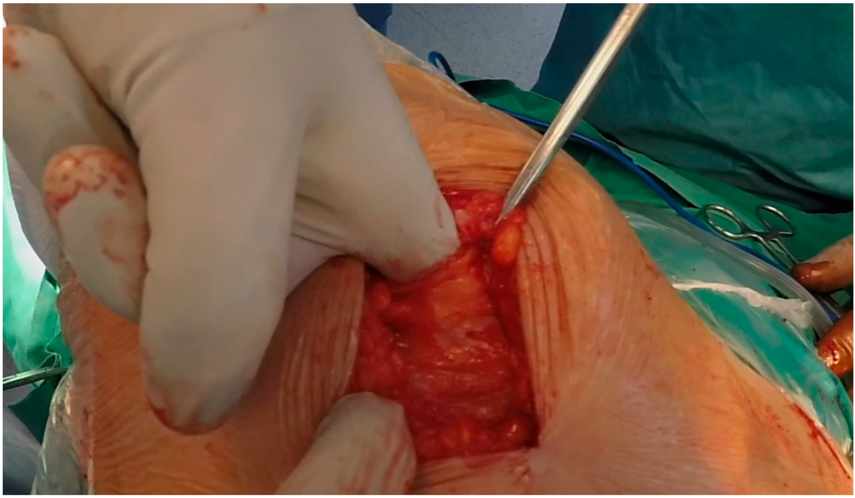 Medicina 59 01520 g002