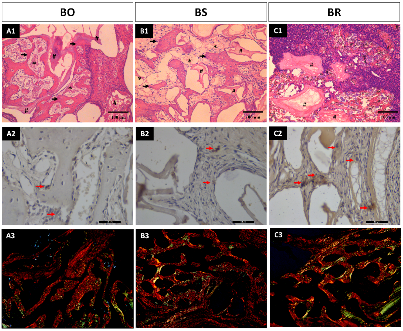 Medicina 59 01521 g002