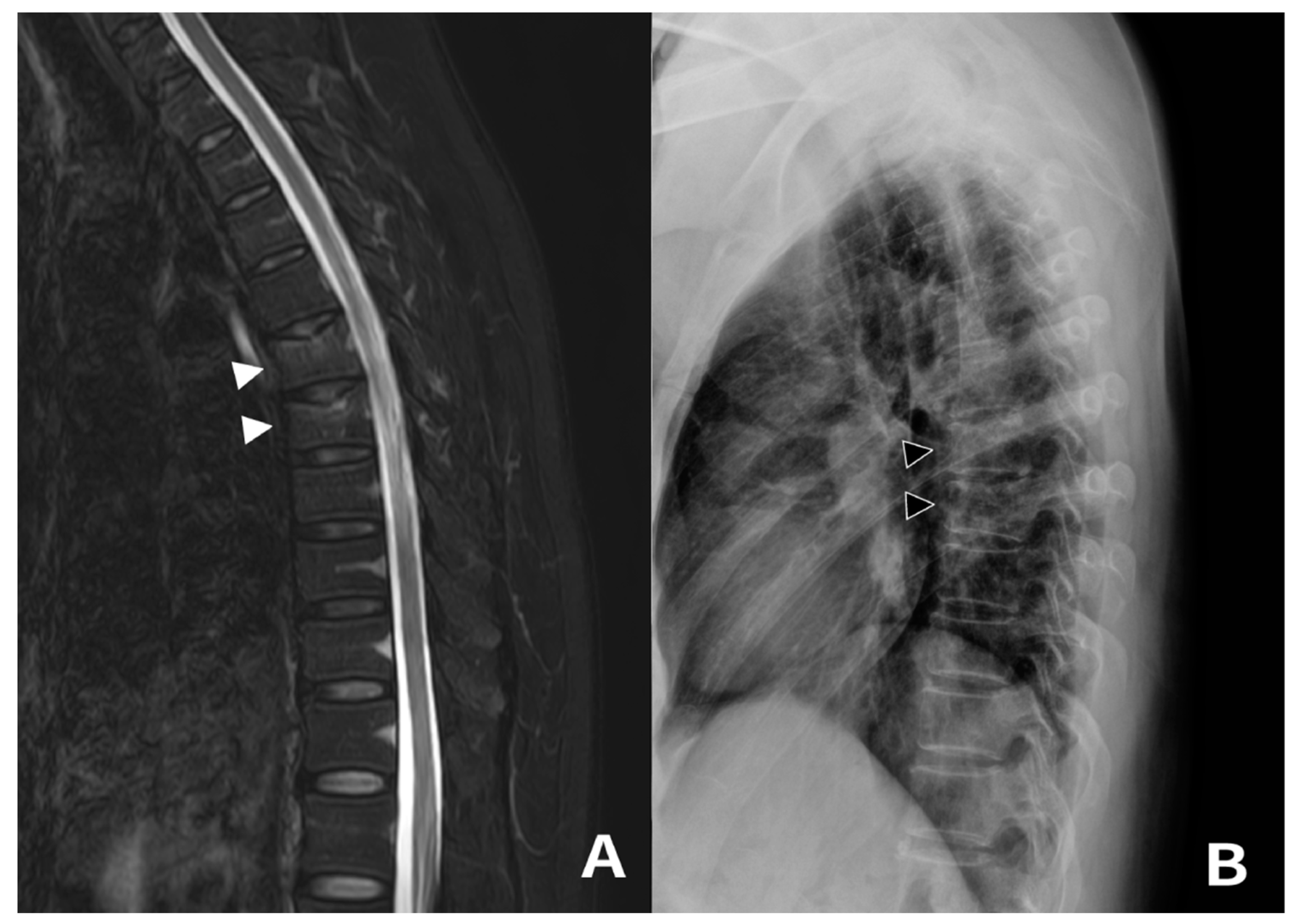 Medicina 59 01529 g003