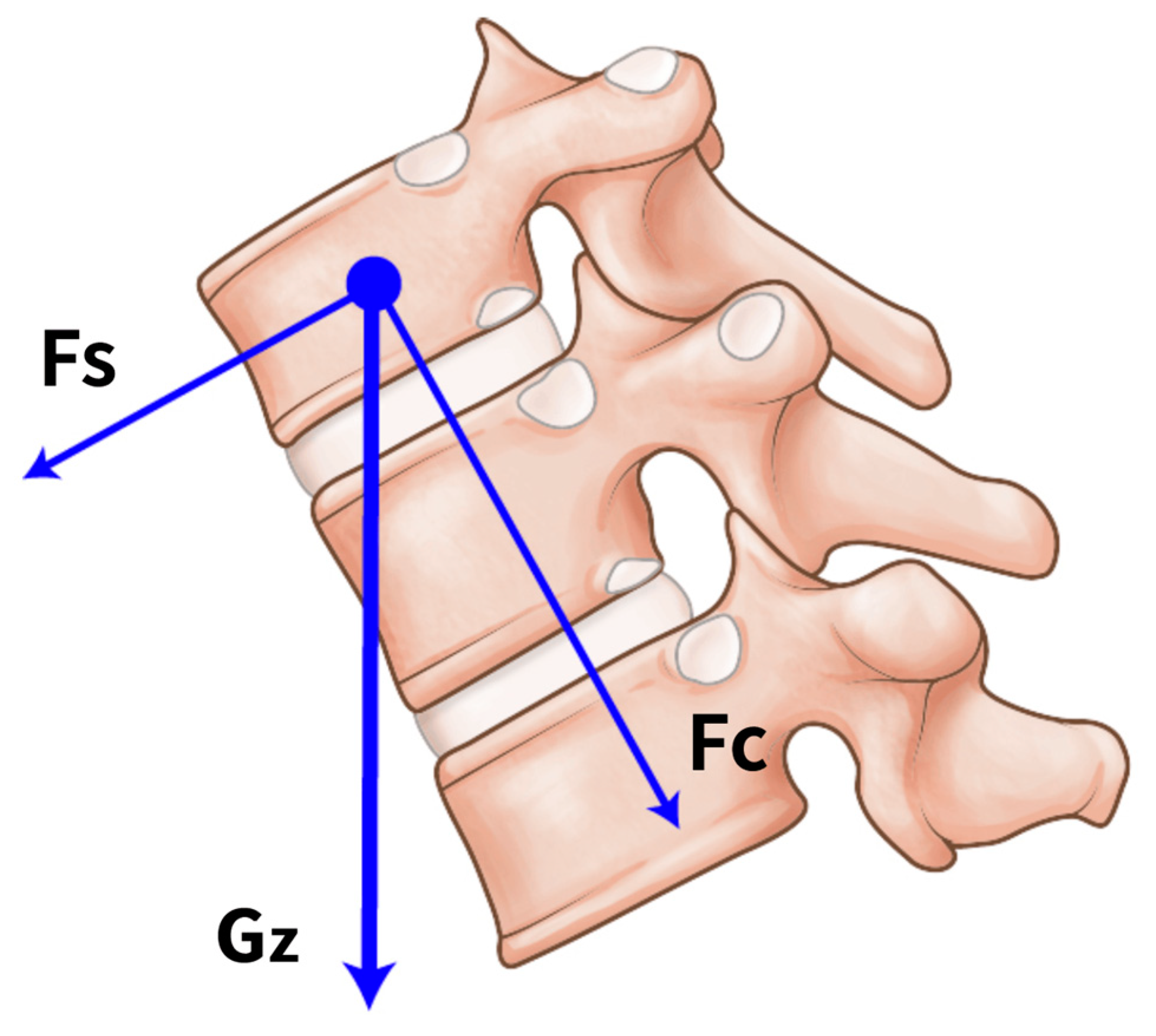 Medicina 59 01529 g005
