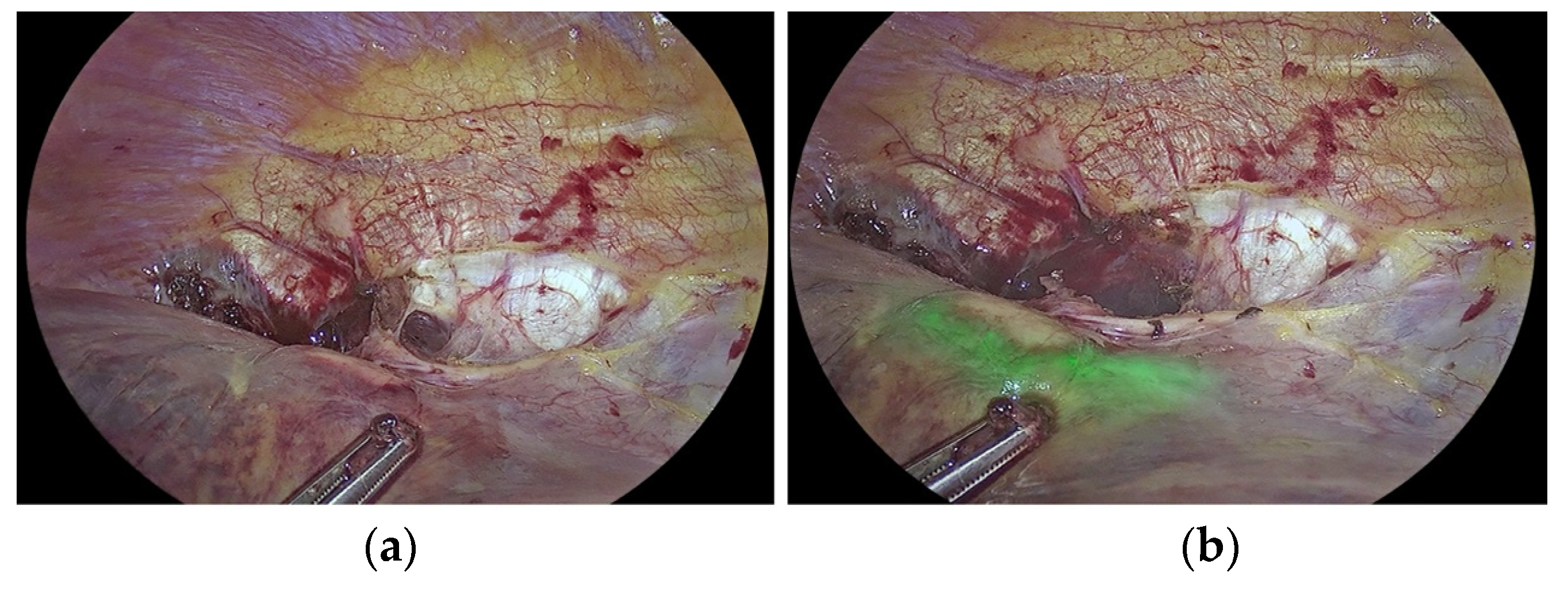 Medicina 59 01530 g002a