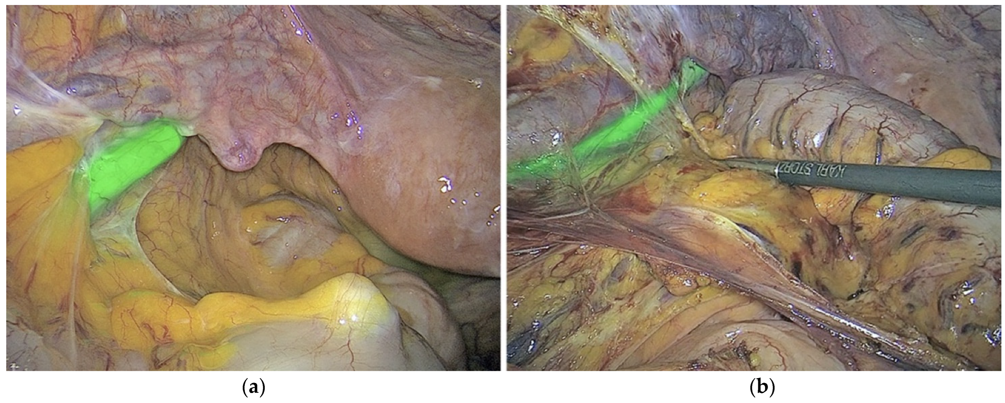 Medicina 59 01530 g003