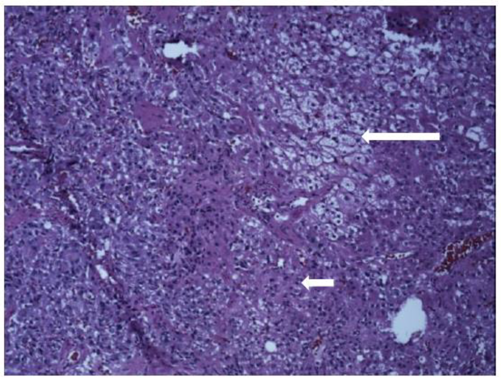 Medicina 59 01539 g002