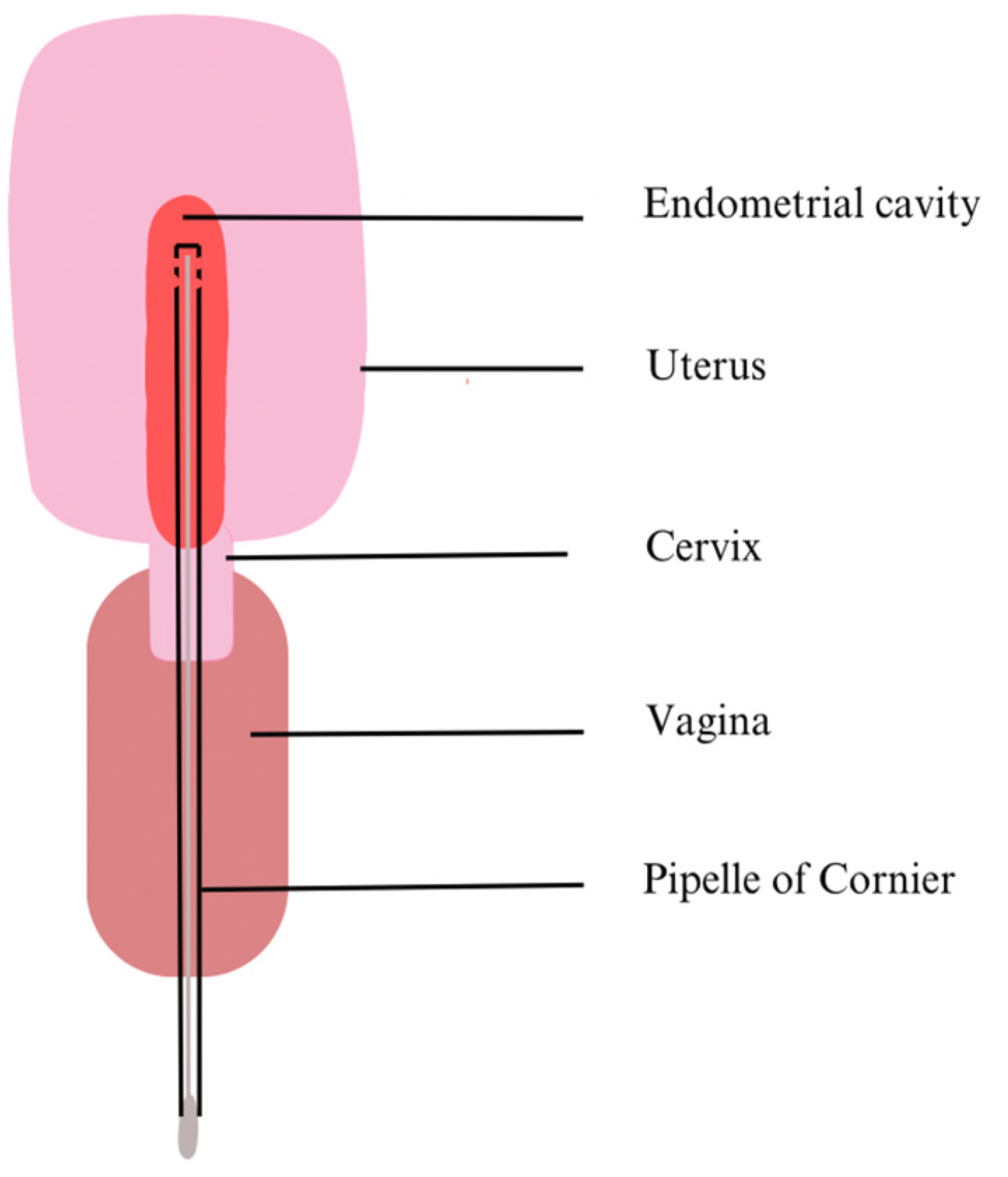 Medicina 59 01540 g002
