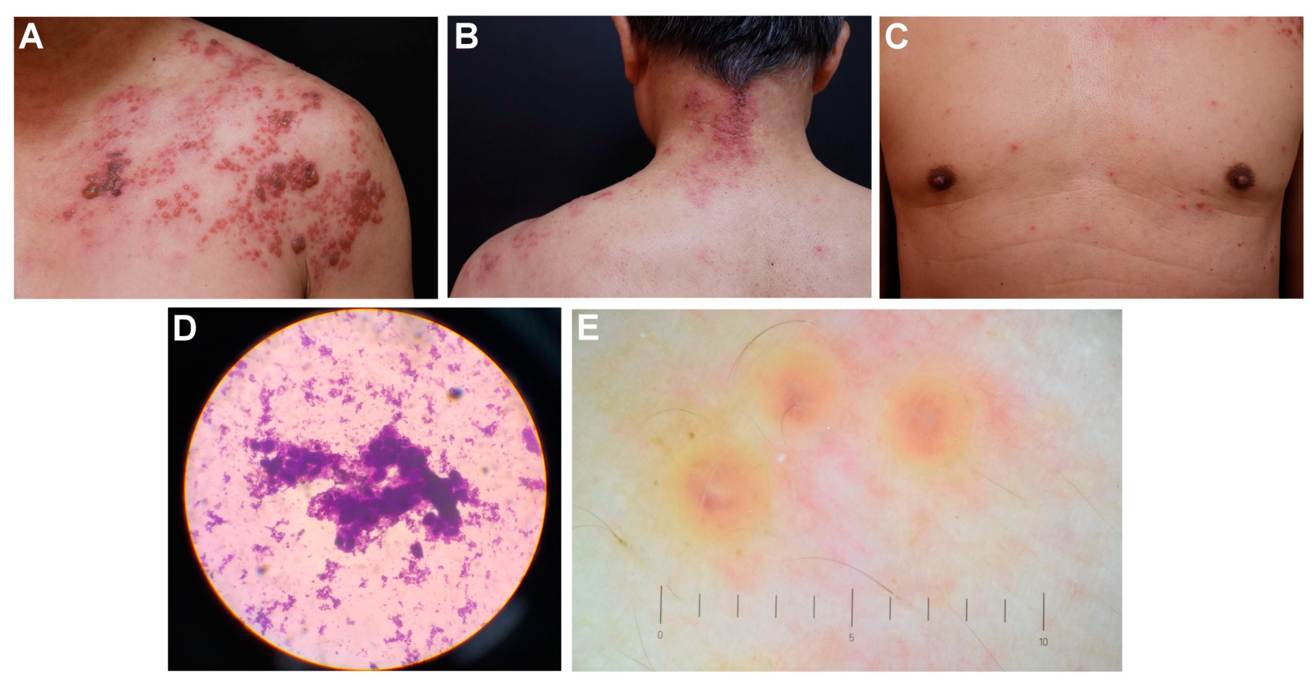 Medicina 59 01542 g001