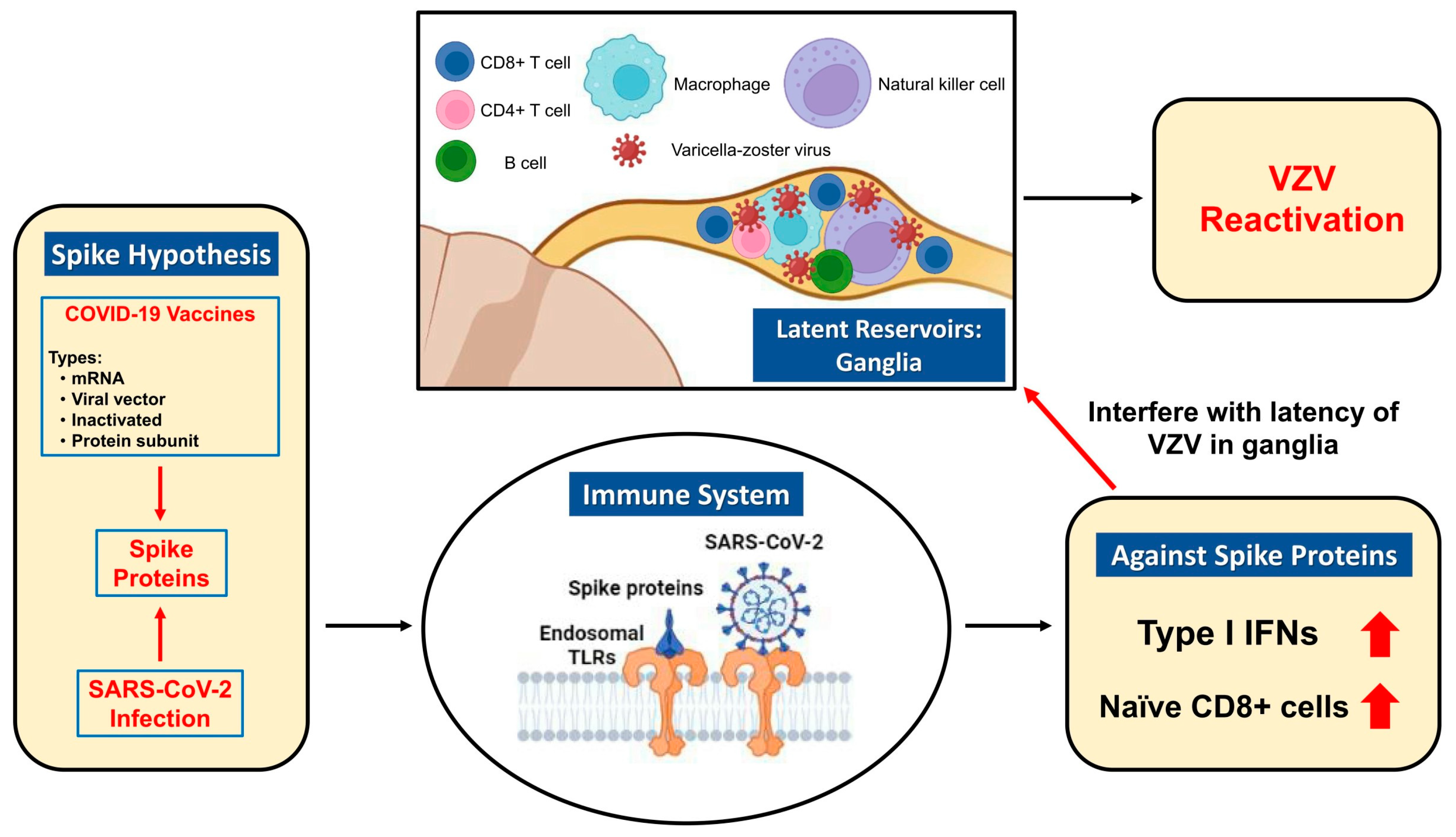 Medicina 59 01542 g003