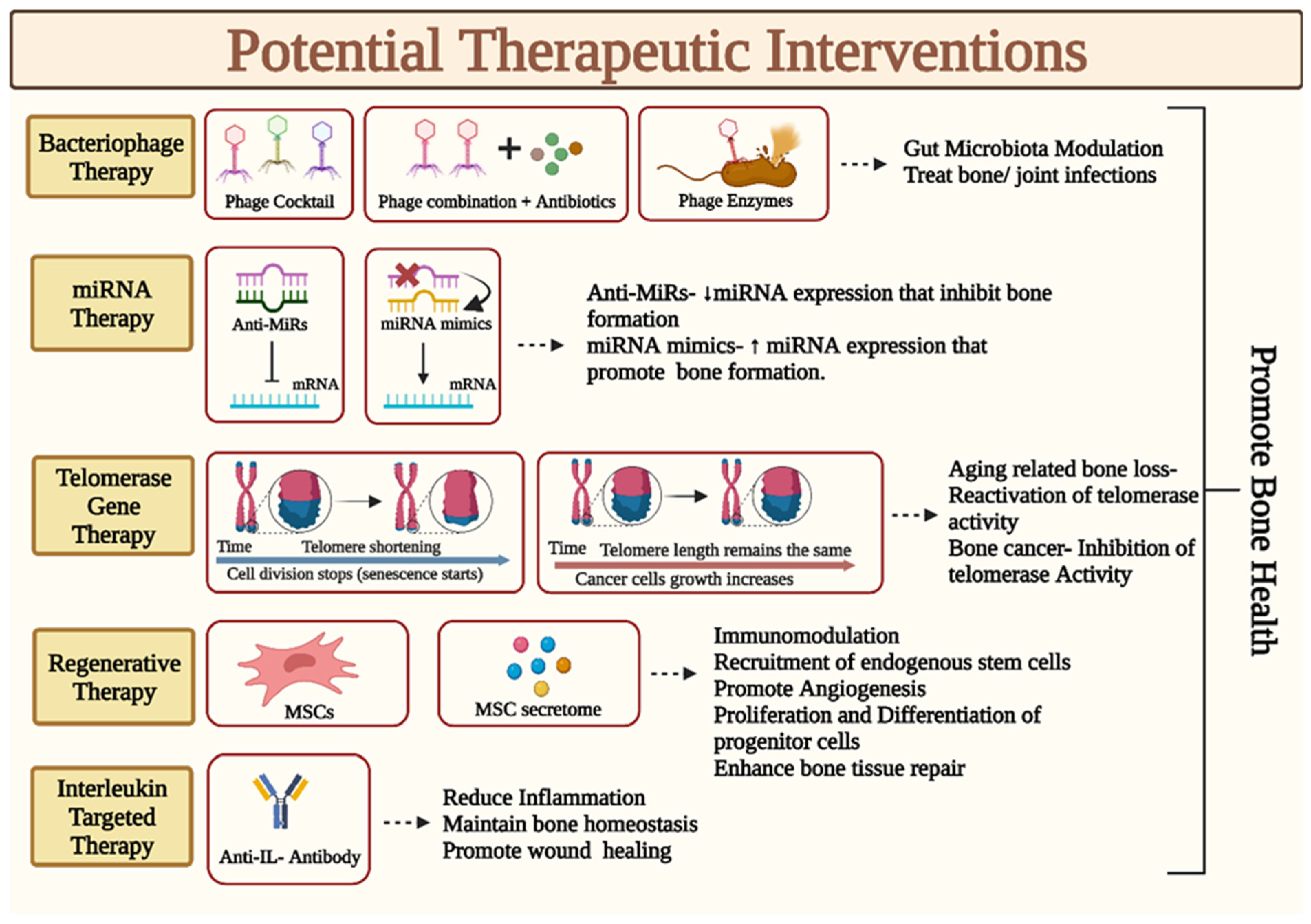 Medicina 59 01546 g004