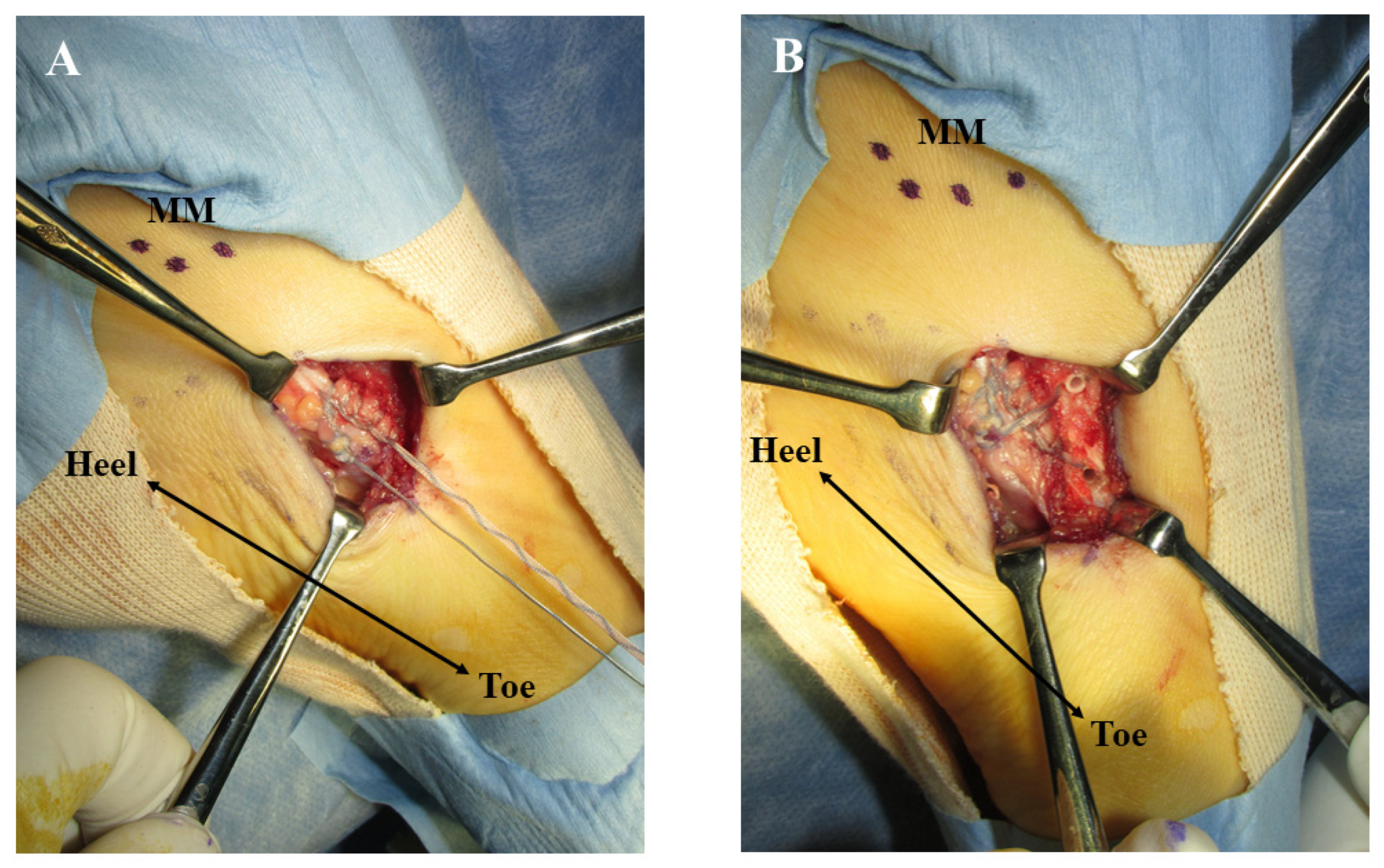 Medicina 59 01562 g004
