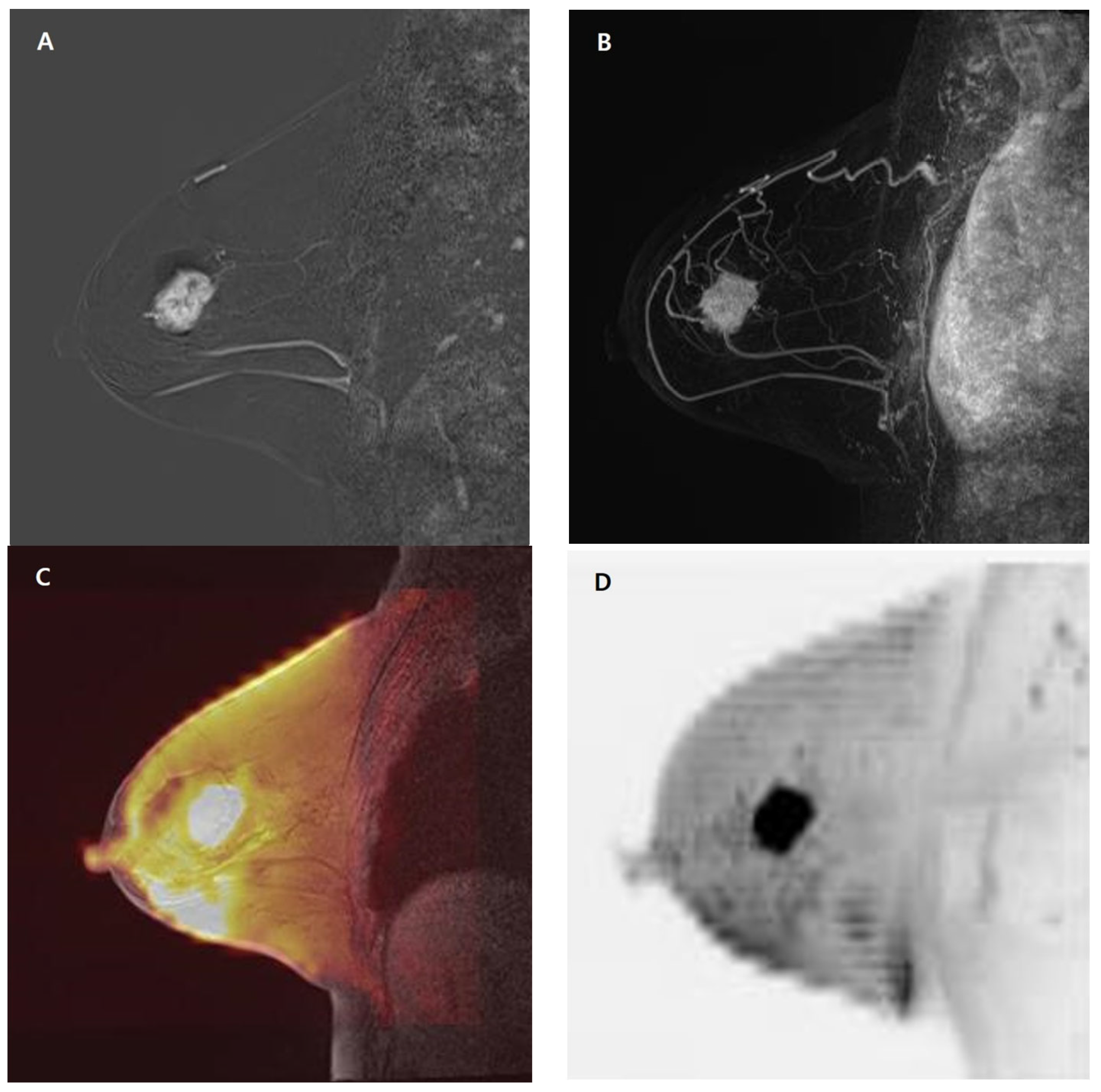 Medicina 59 01563 g002 Medicina 59 01563 g002