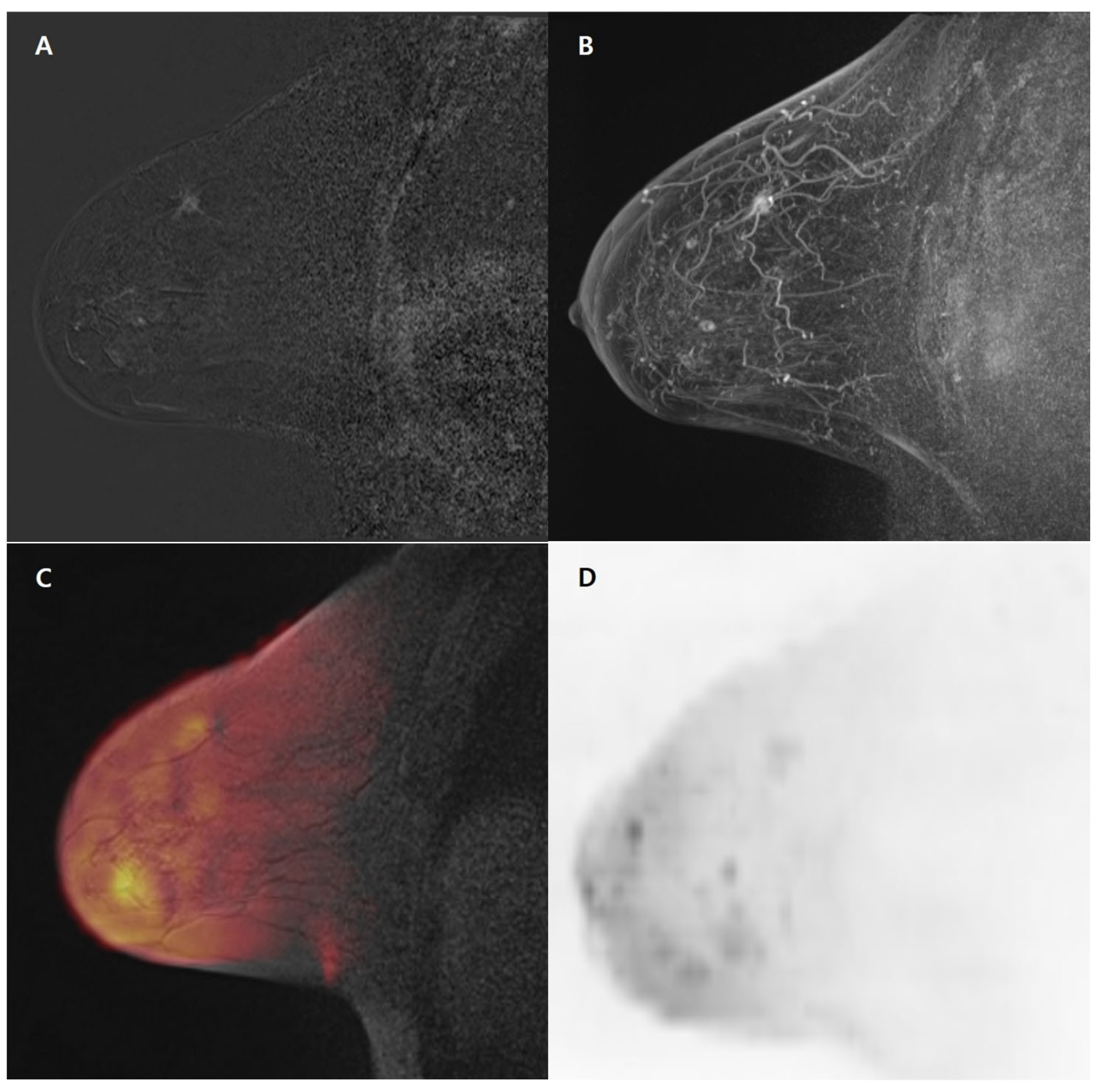 Medicina 59 01563 g003 Medicina 59 01563 g003