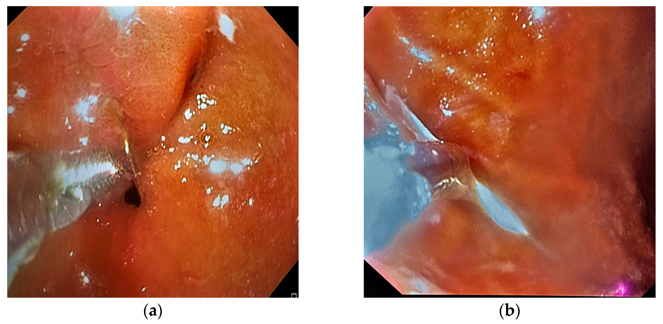 Medicina 59 01566 g002