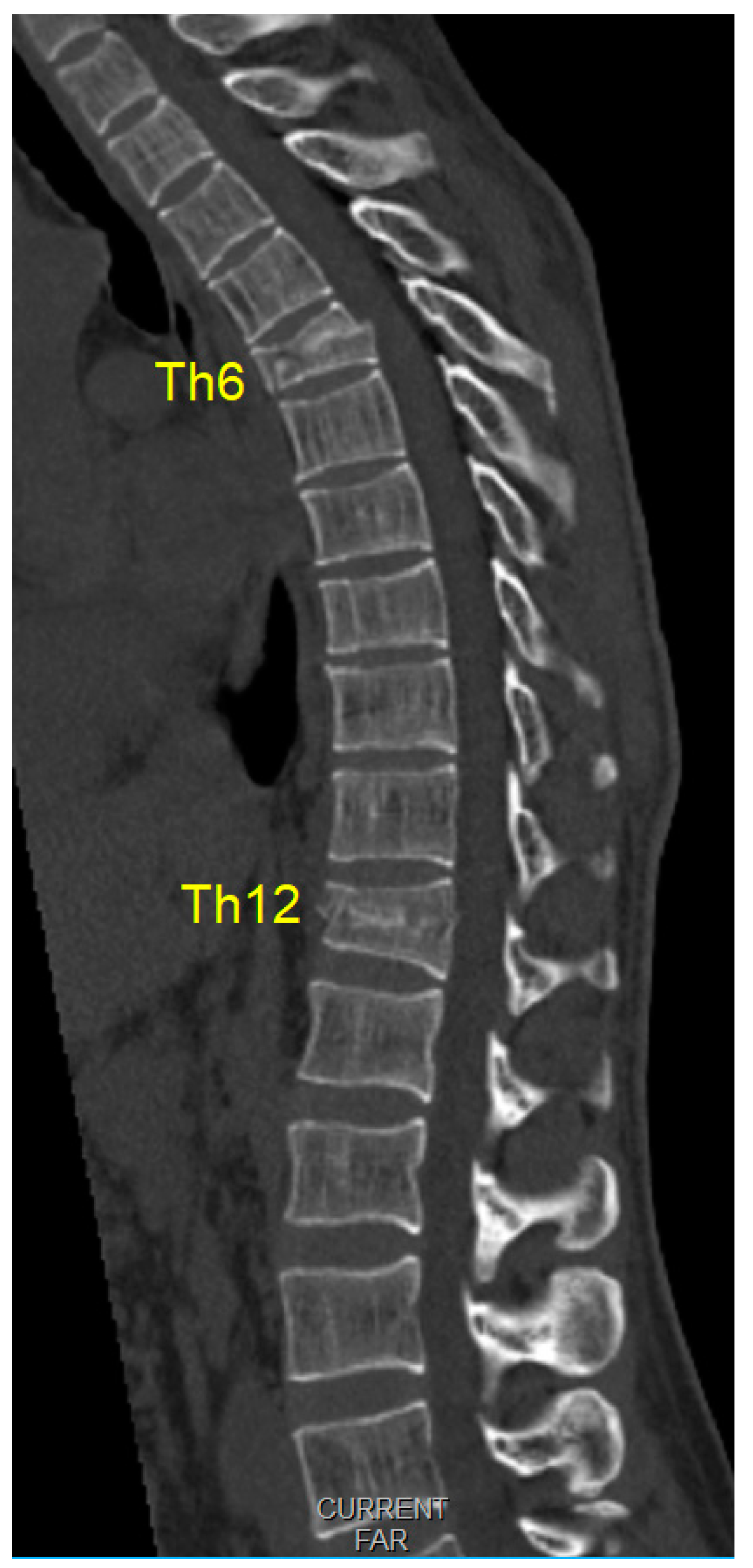 Medicina 59 01590 g001