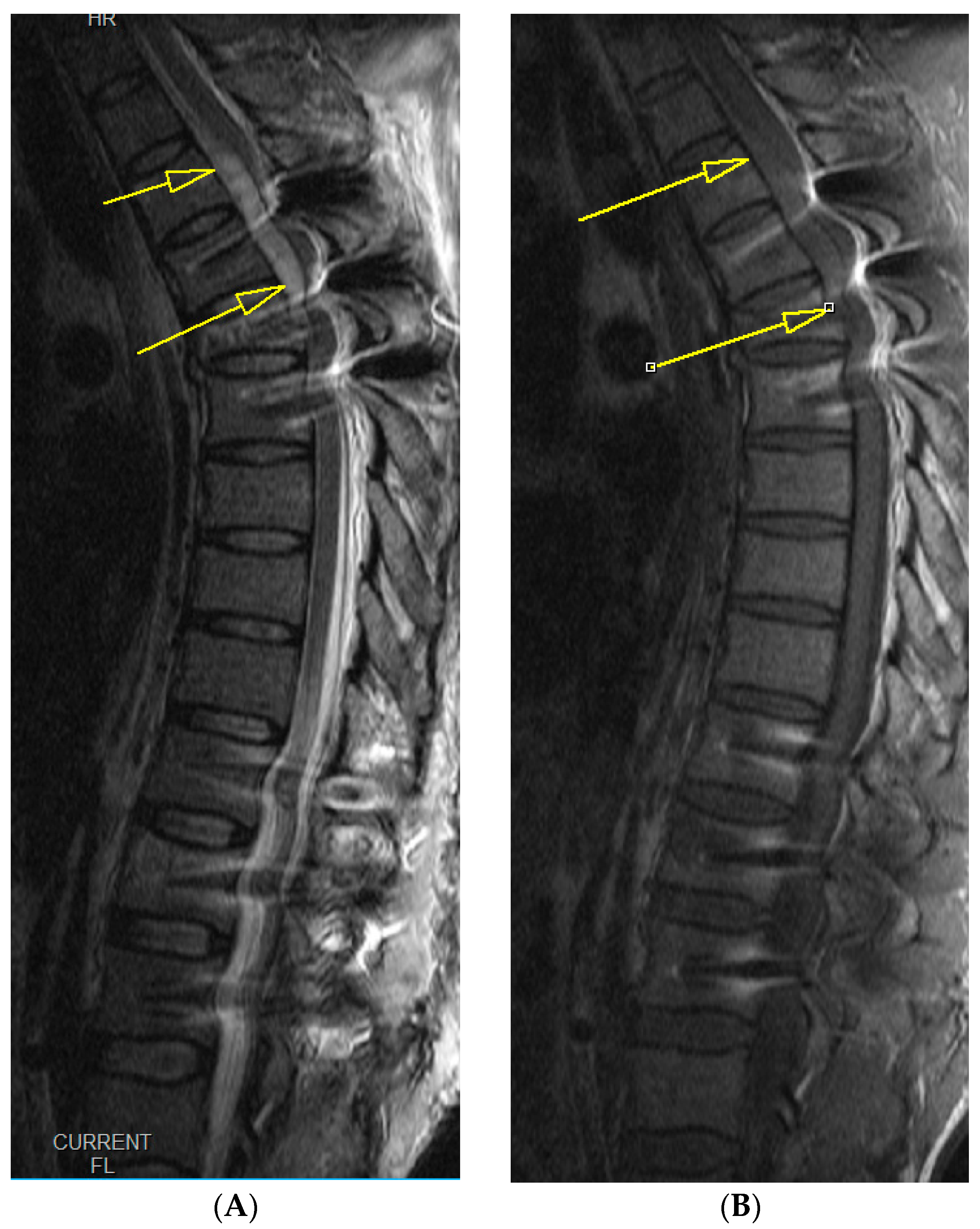 Medicina 59 01590 g003