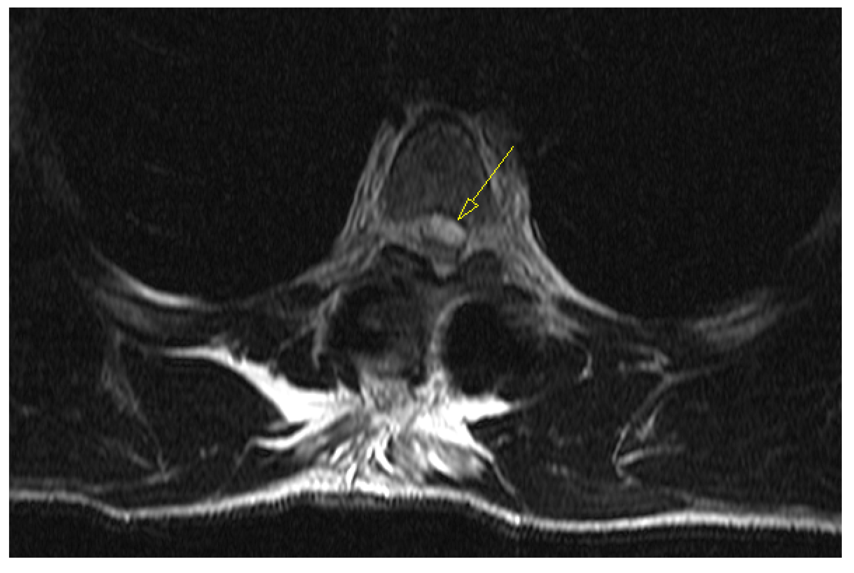 Medicina 59 01590 g004