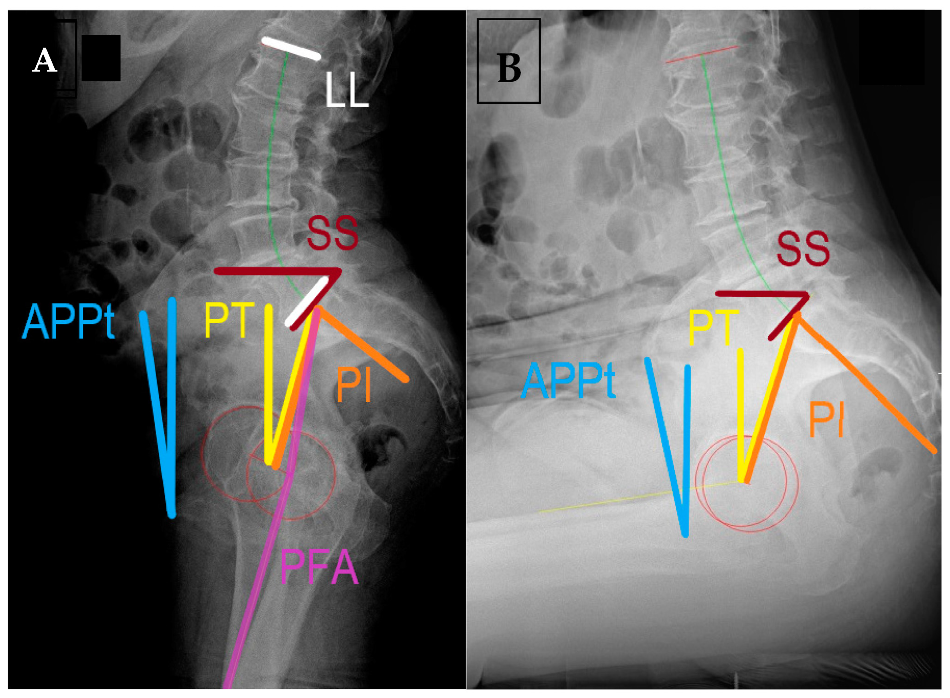 Medicina 59 01591 g001