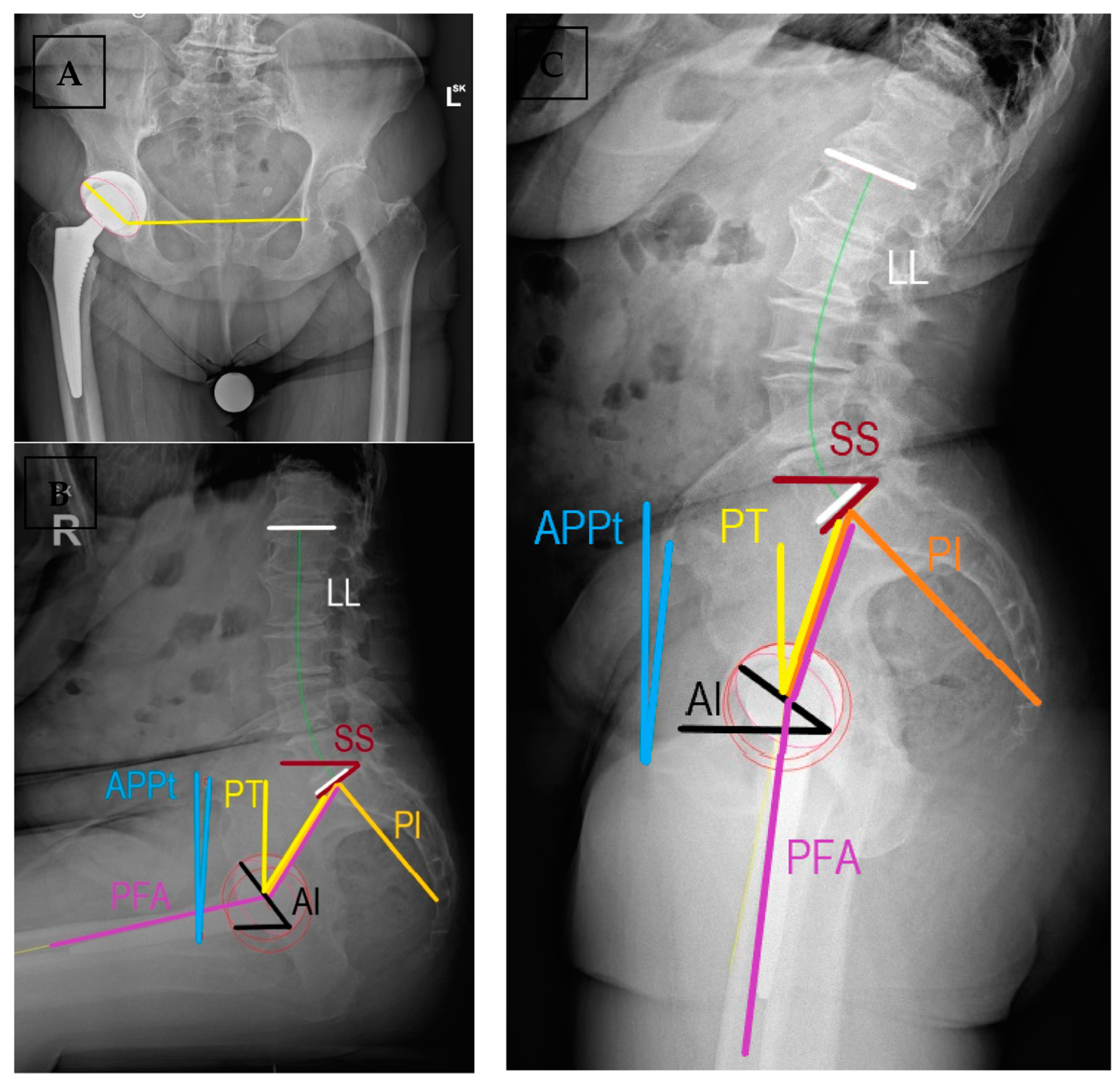 Medicina 59 01591 g002