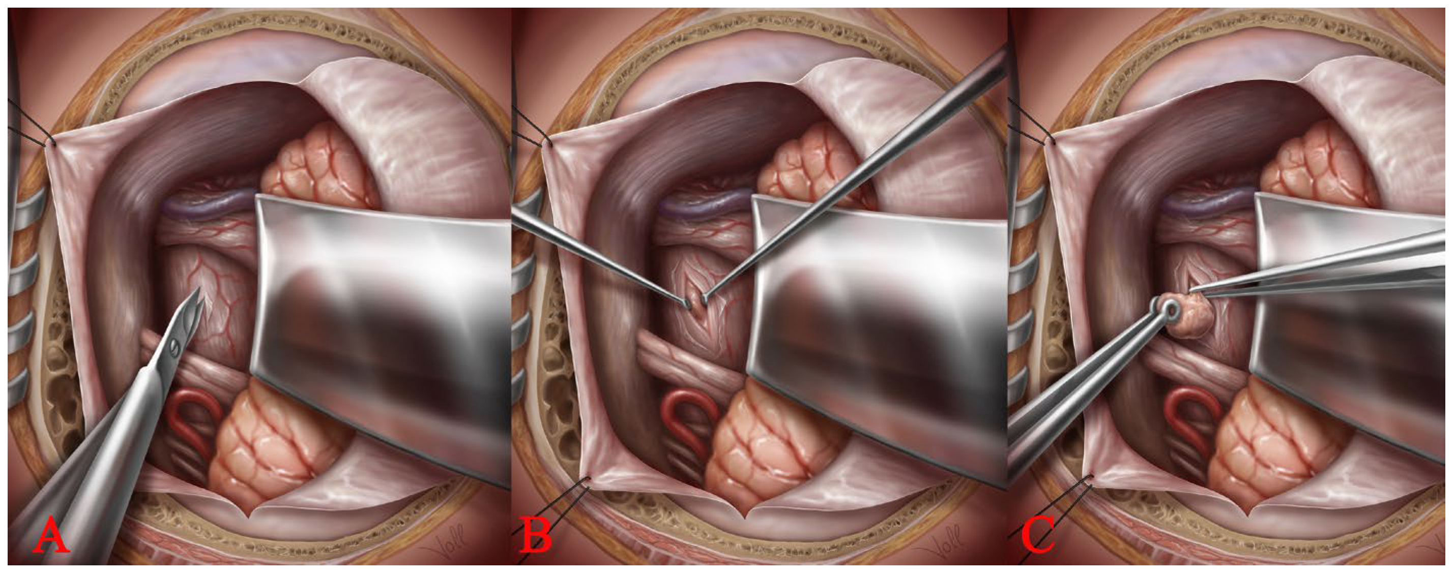 Medicina 59 01601 g004