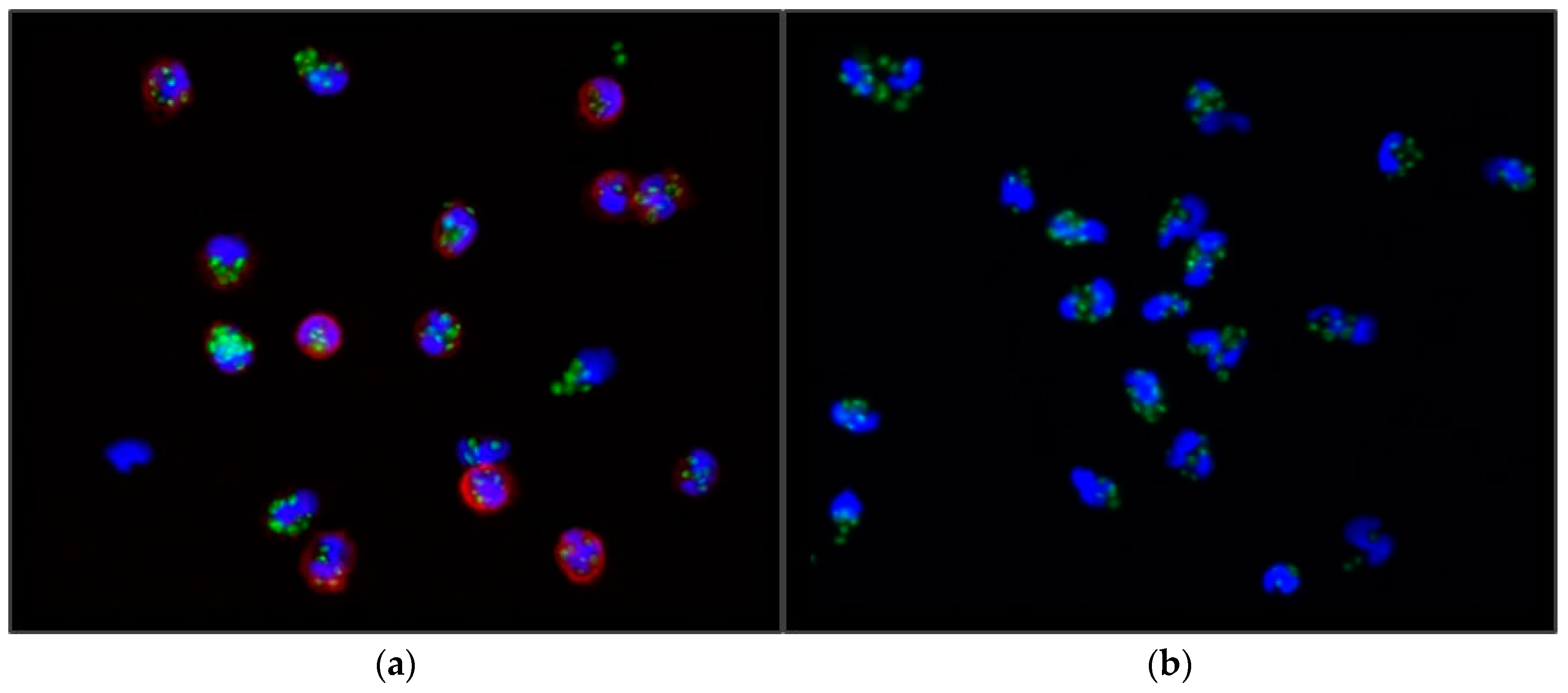 Medicina 59 01602 g001