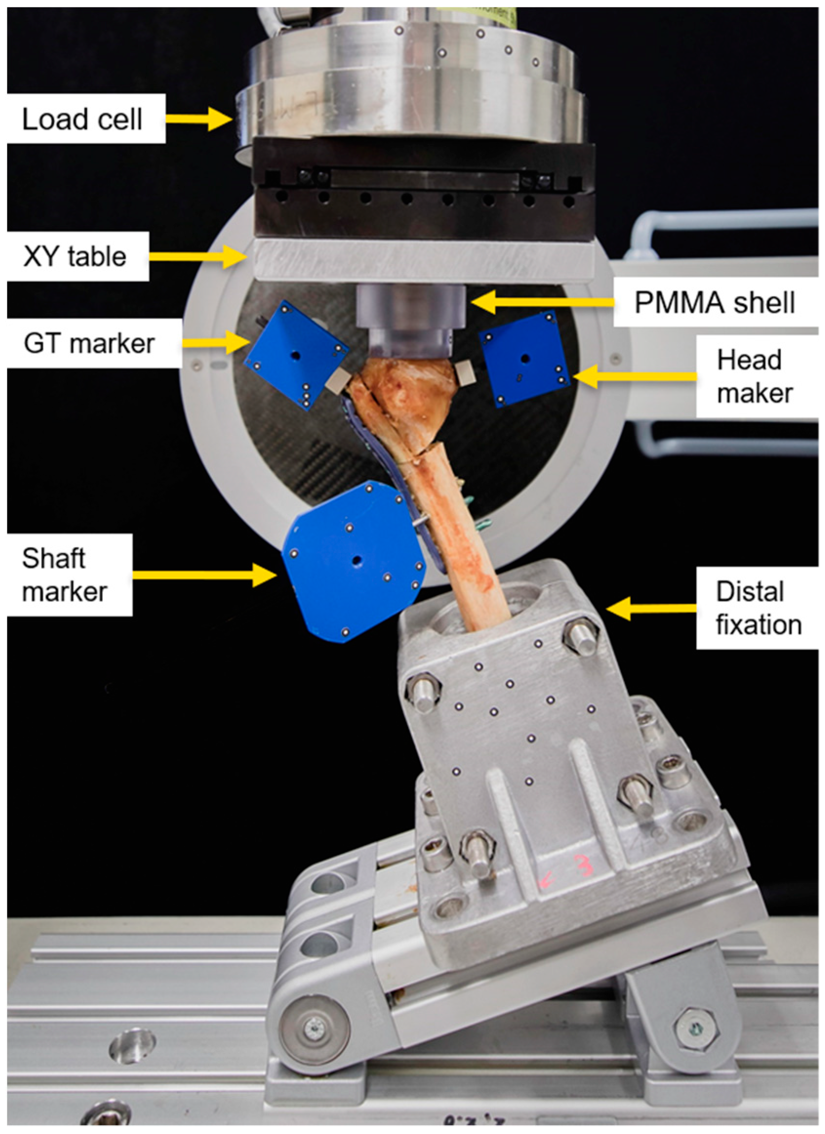 Medicina 59 01604 g003