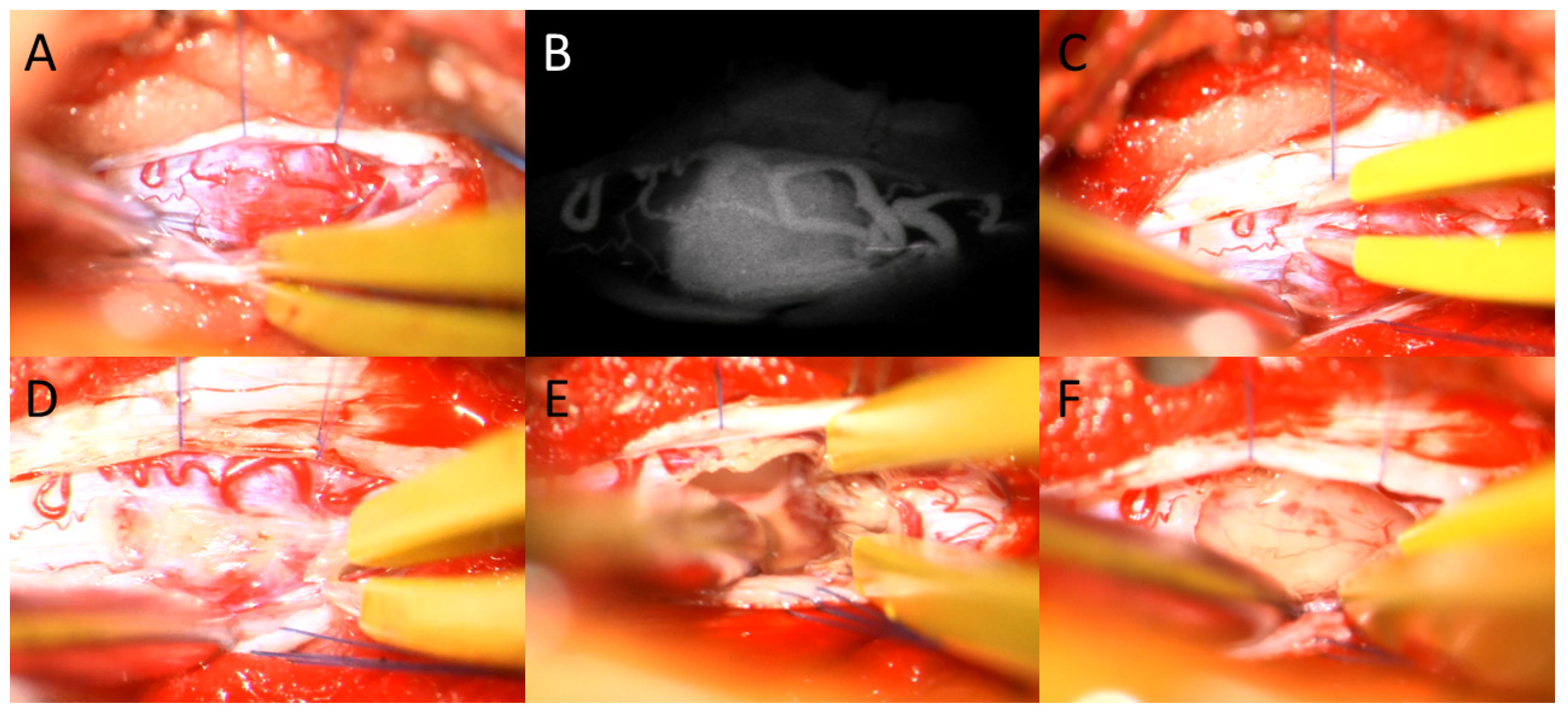 Medicina 59 01611 g003