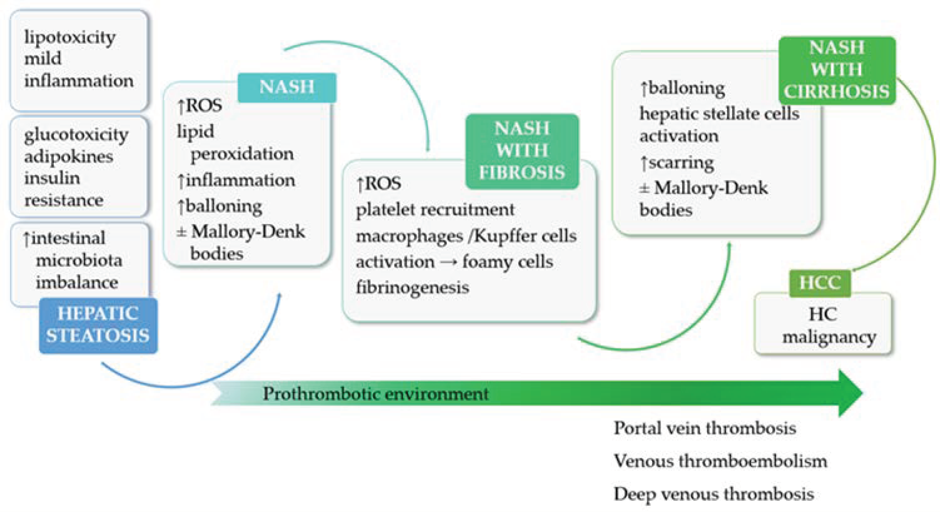 Medicina 59 01614 g001