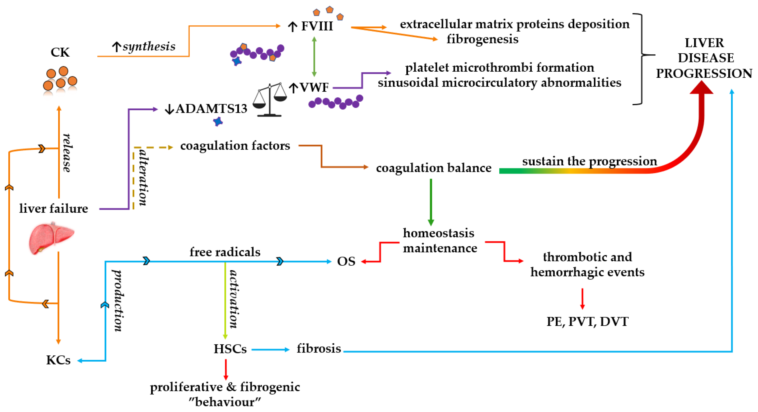 Medicina 59 01614 g003