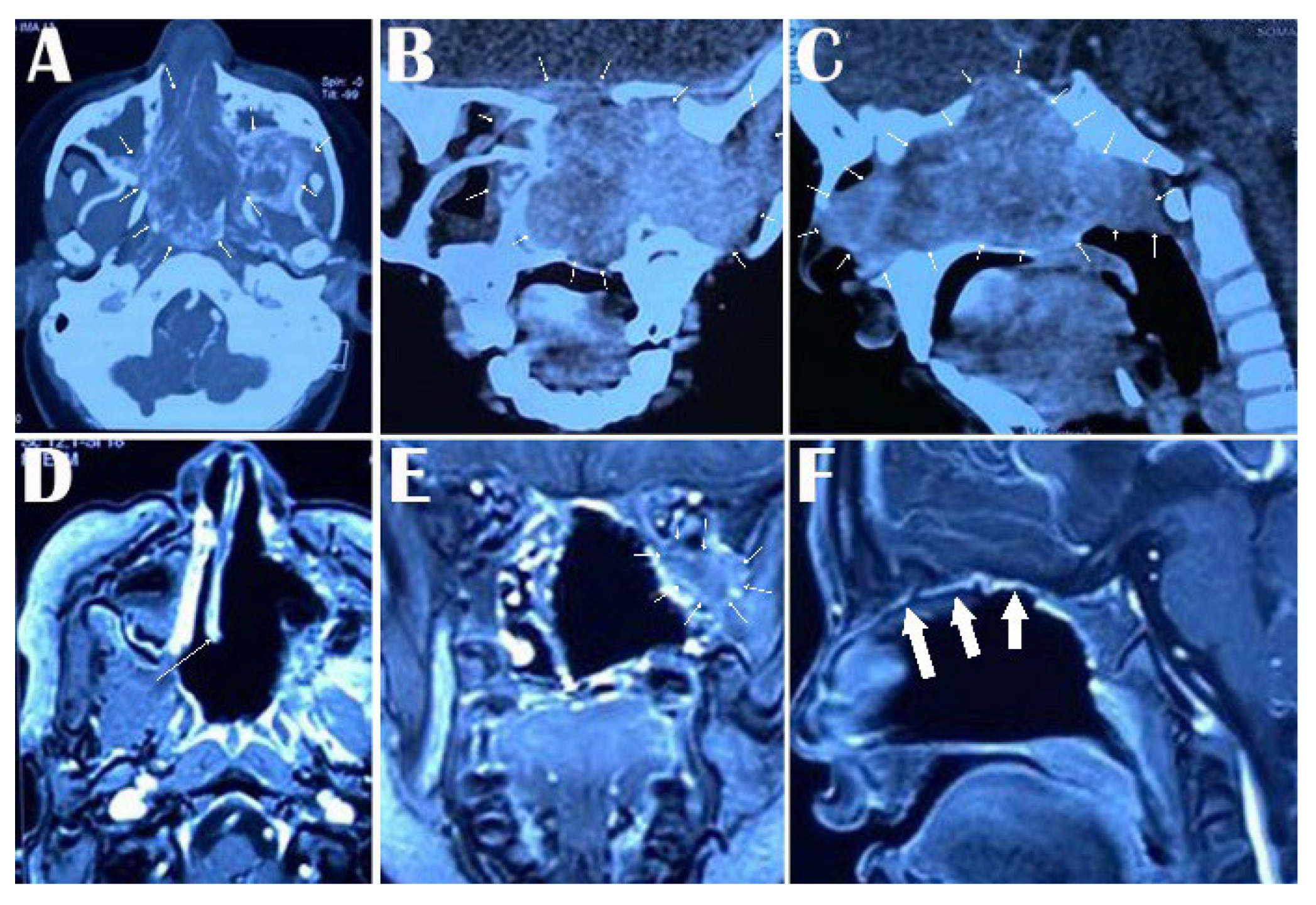 Medicina 59 01620 g001